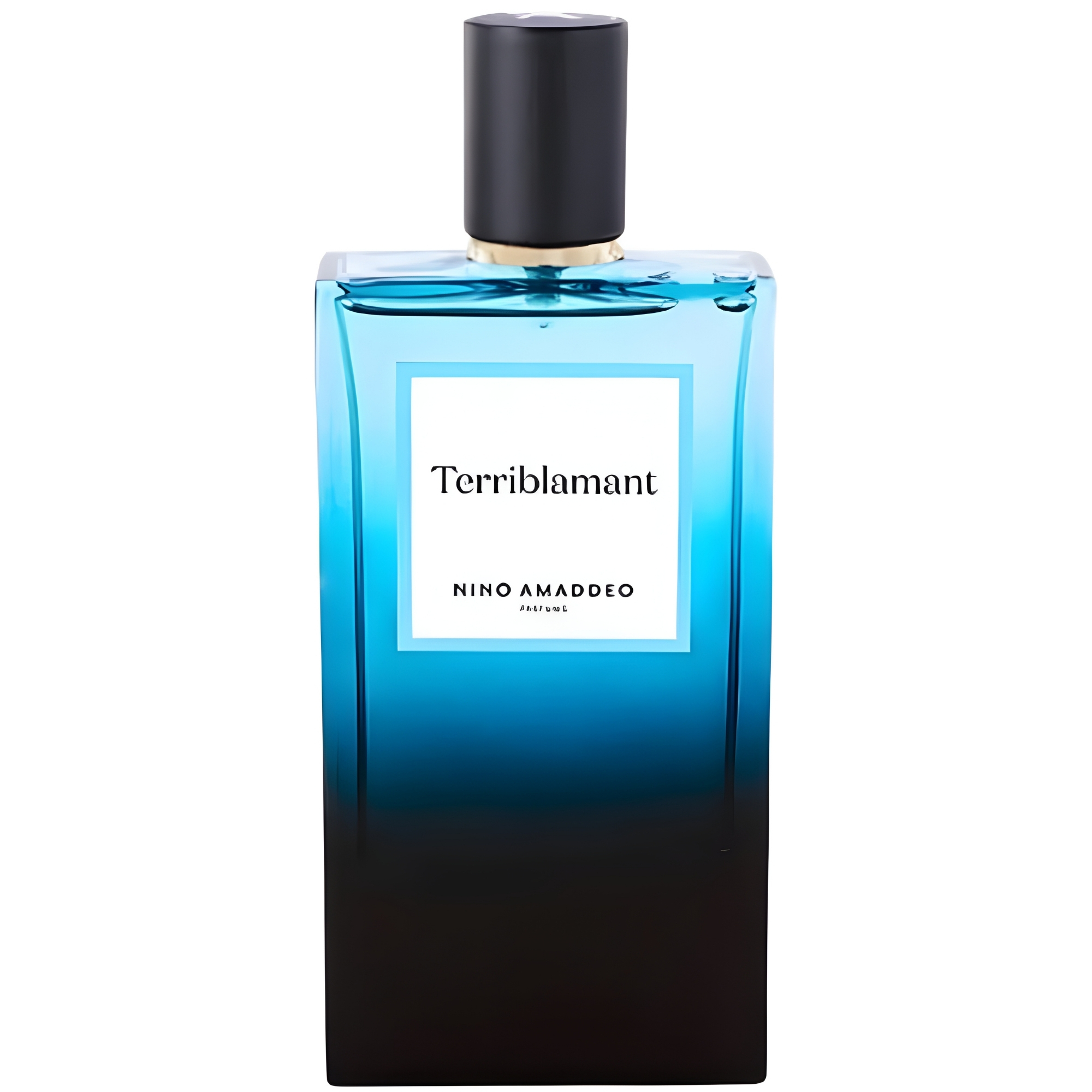 Nino Amaddeo Terriblamant Eau De Parfum Men 3.4 Oz