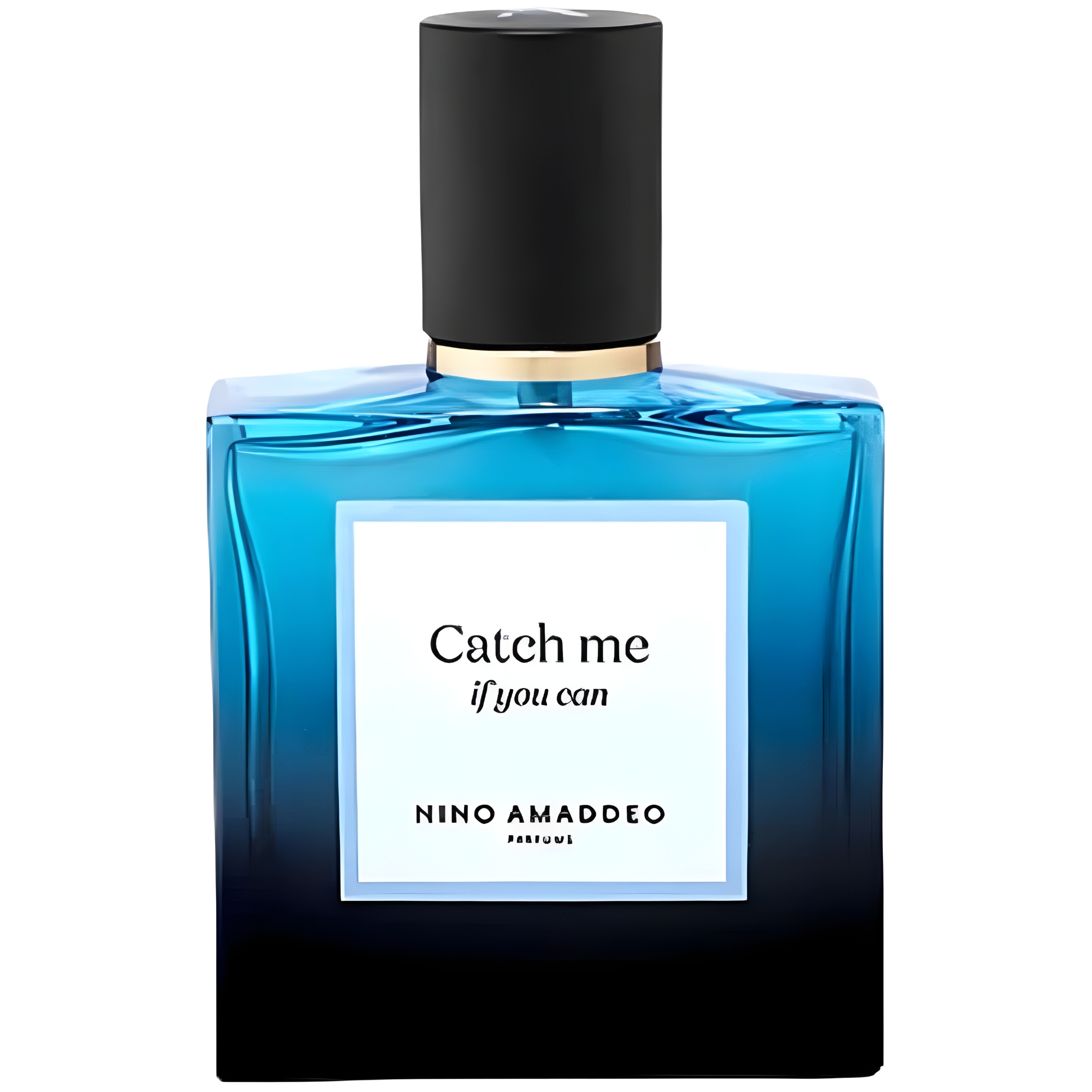 Nino Amaddeo Catch me if you can Eau De Parfum Men 1.7 Oz