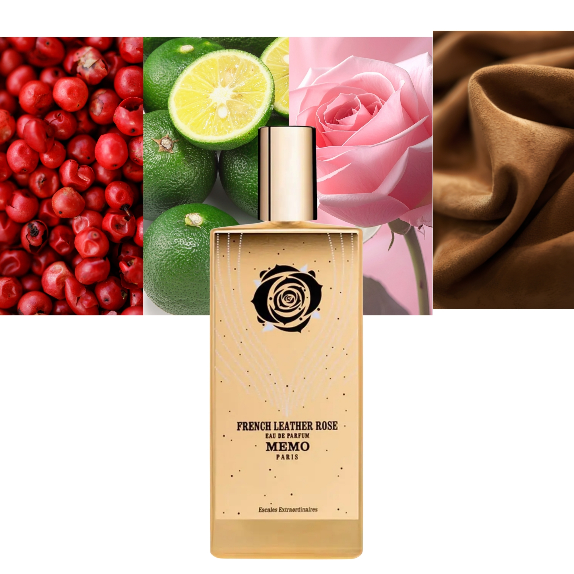 Memo French Leather Rose