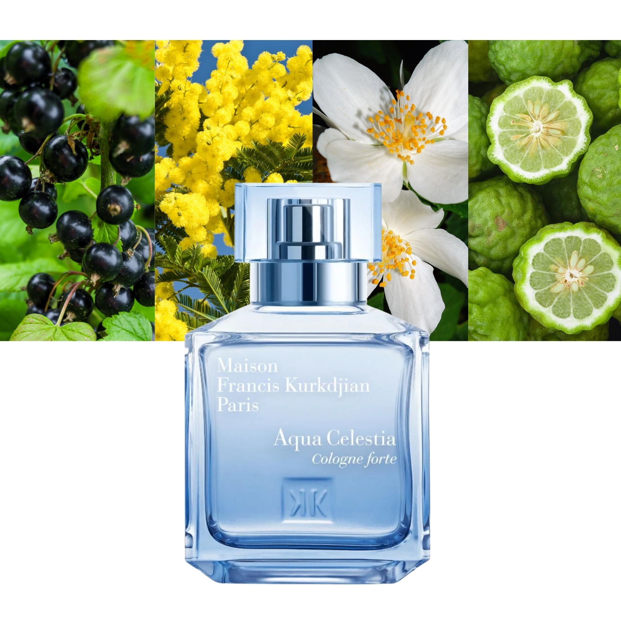 Maison Francis Kurkdjian Aqua Celestia Cologne forte EDP 2.4oz/70ml ...