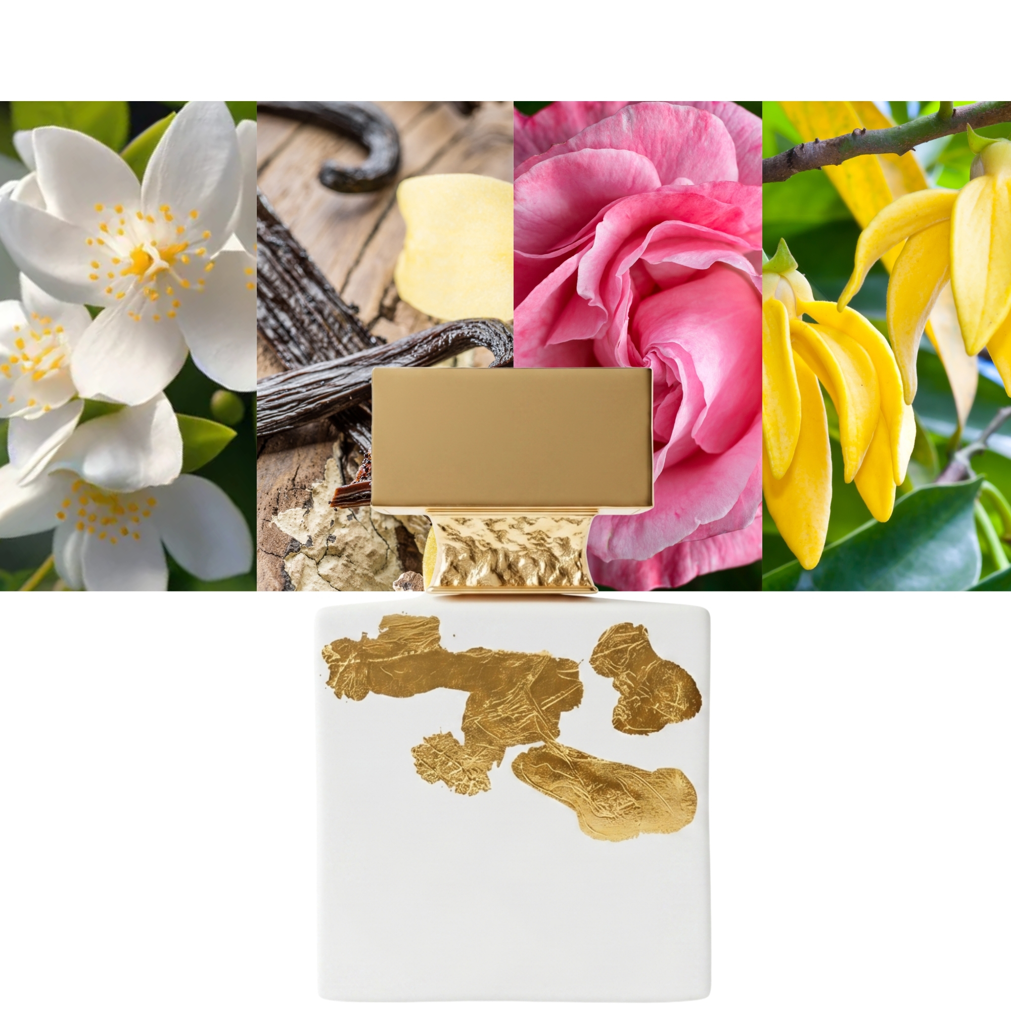 M. Micallef Ylang in Gold