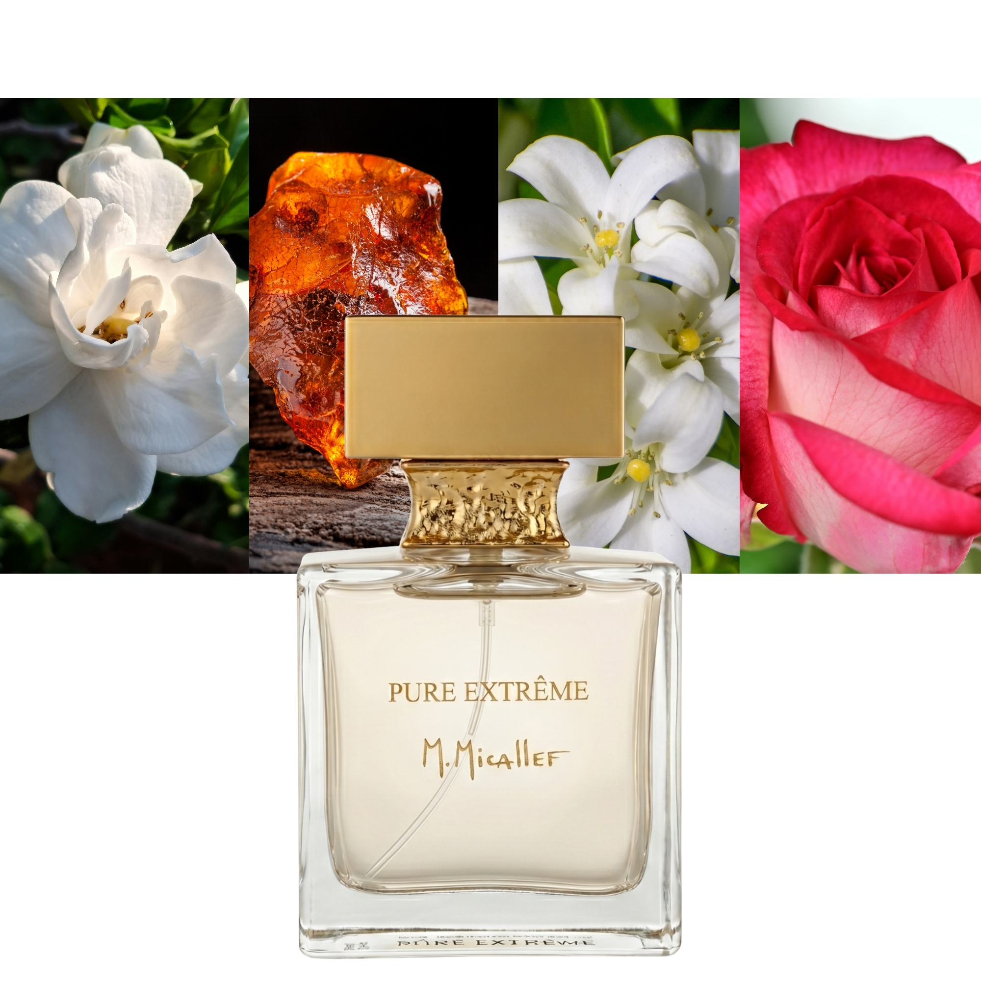 M. Micallef Pure Extreme EDP