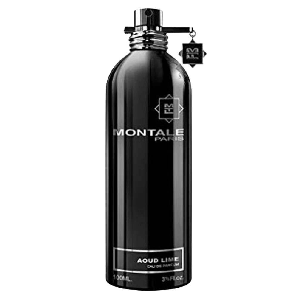 Montale Spicy Aoud / Montale EDP Spray 3.3 oz (100 ml) (u