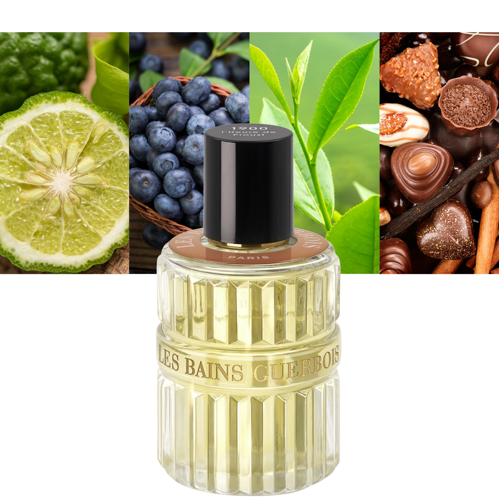 Maxaroma Only the Finest Fragrances For Men and Women. Purchase Online