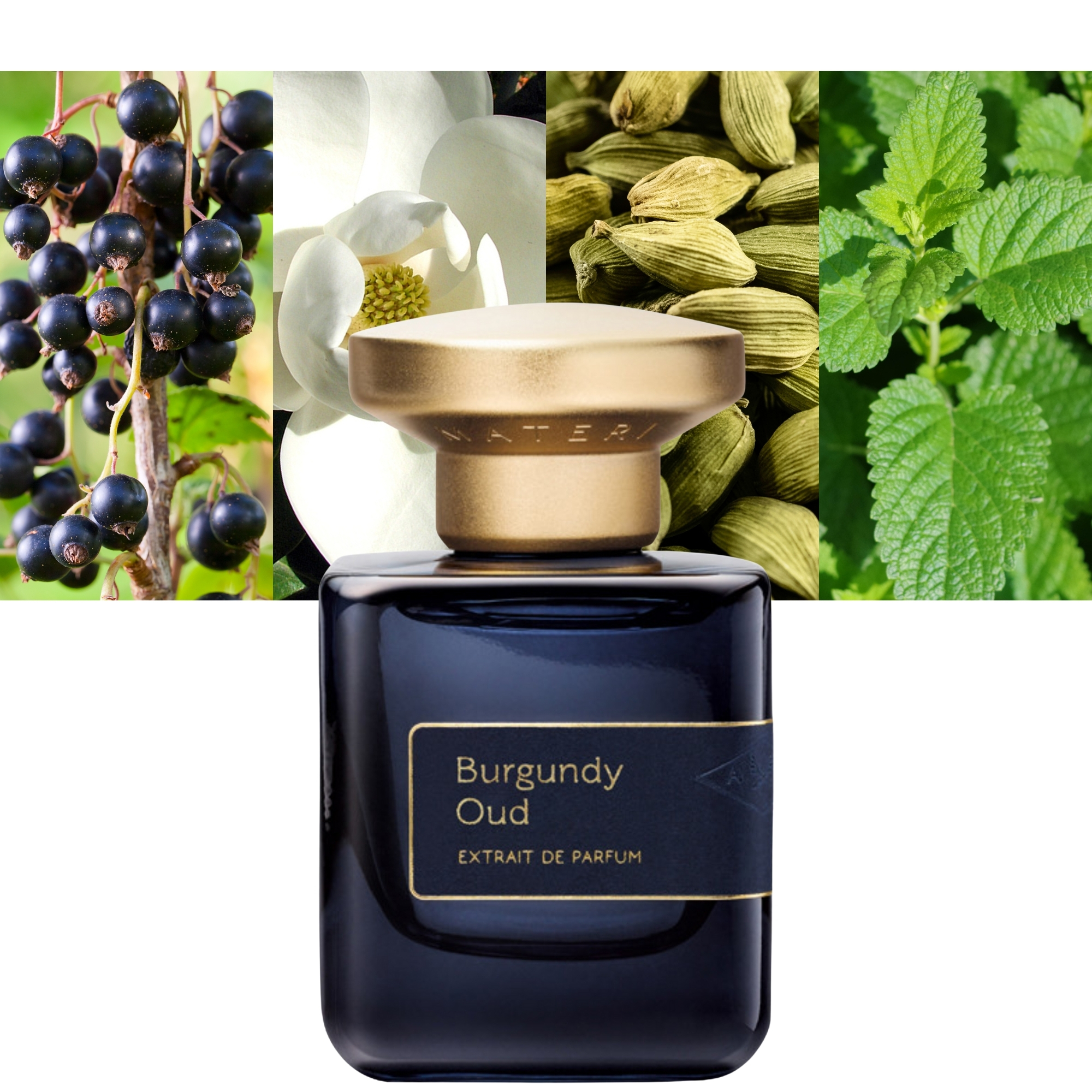 Step Into A World Of Sensuality With Atelier Materi Burgundy Oud step-into-a-world-of-sensuality-with-atelier-materi-burgundy-oud