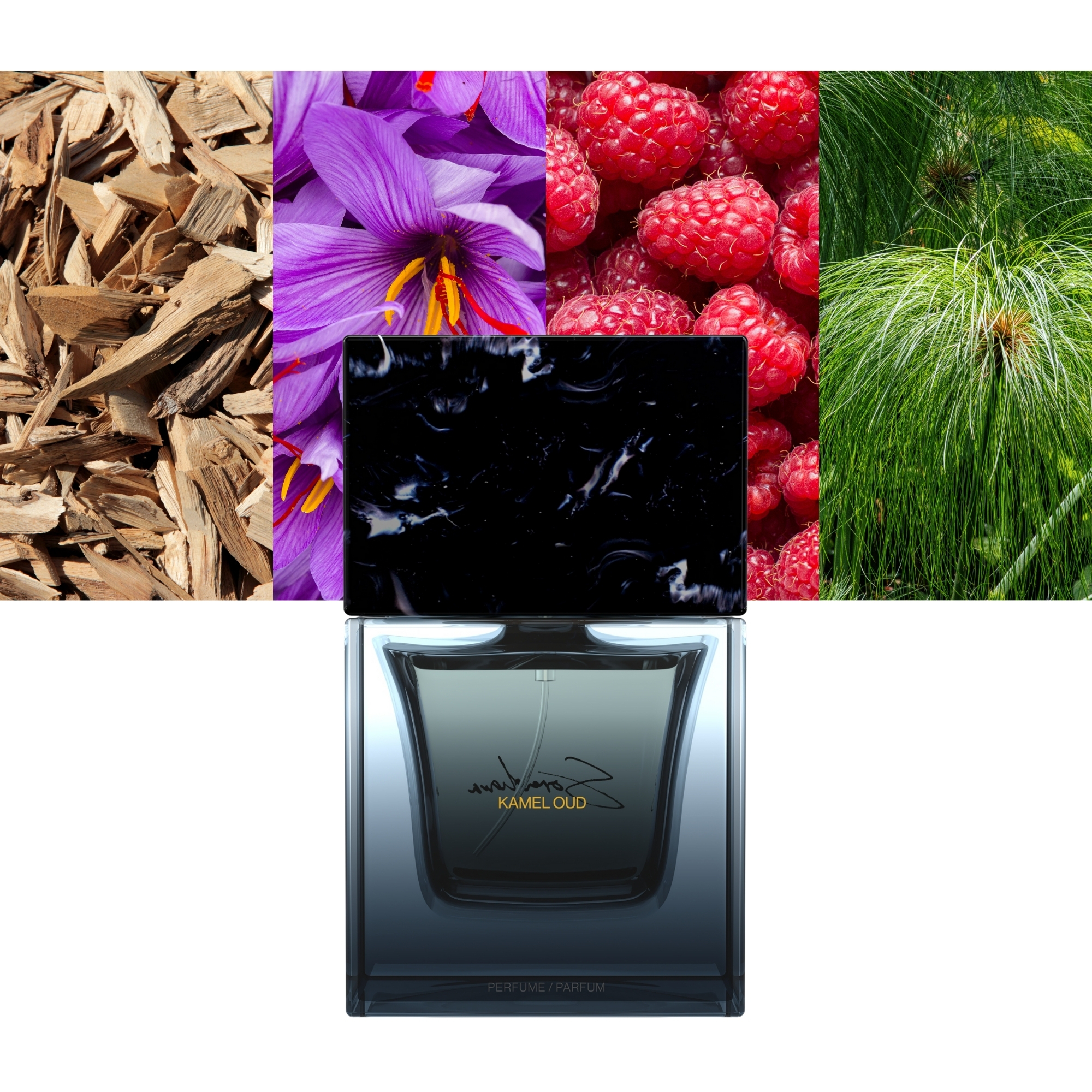 SORA DORA Kamel Oud