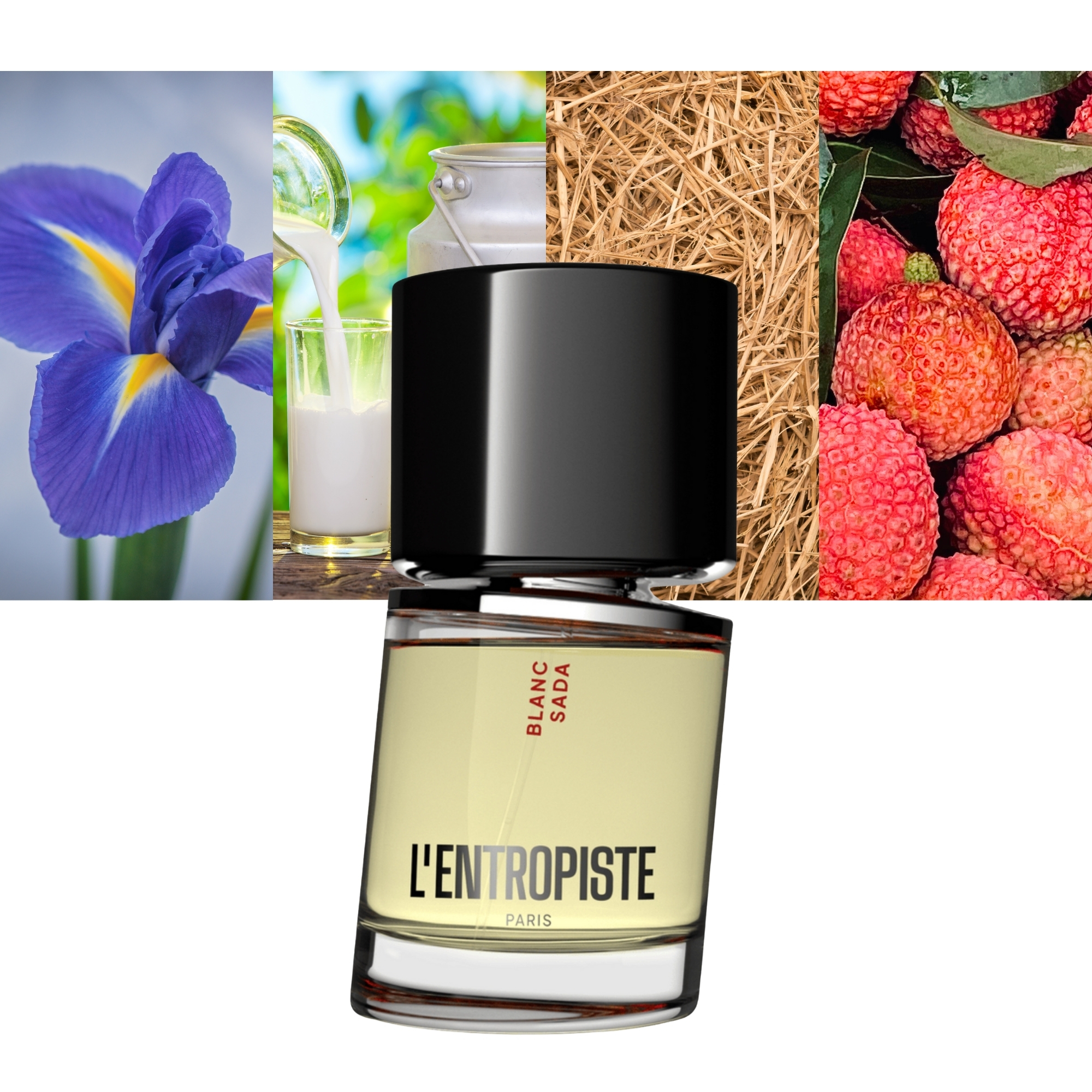 L'Entropiste Blanc Sada