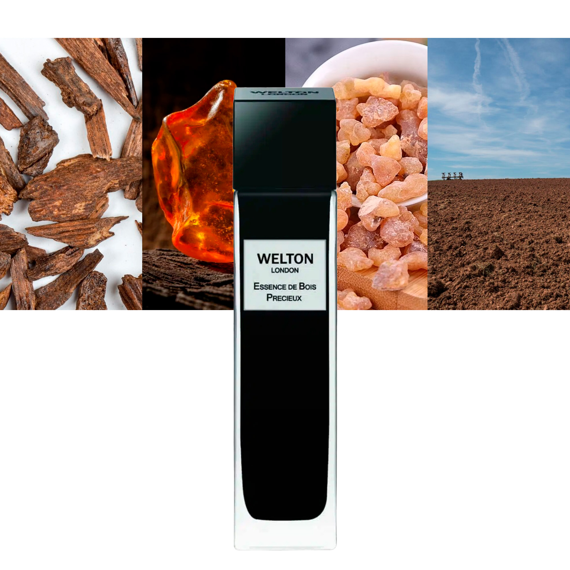 Essence De Bois Precieux