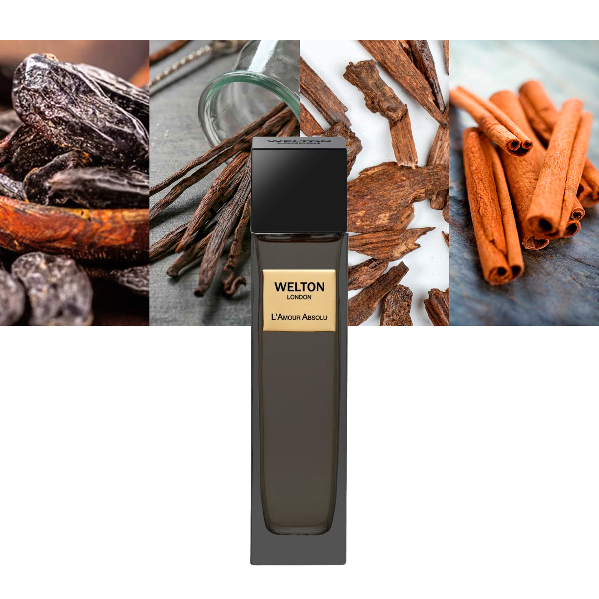 L'Amour Absolu