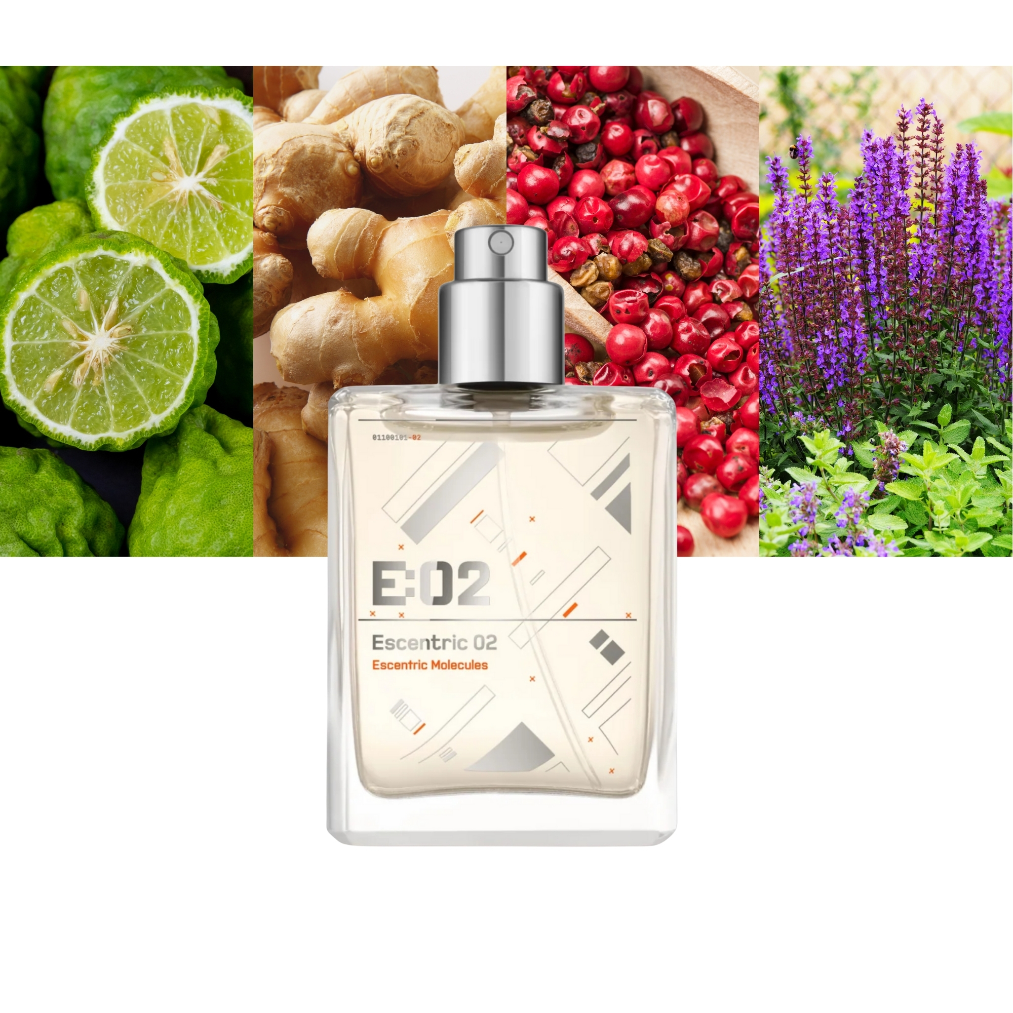 Escentric Molecules Escentric 02 Refill