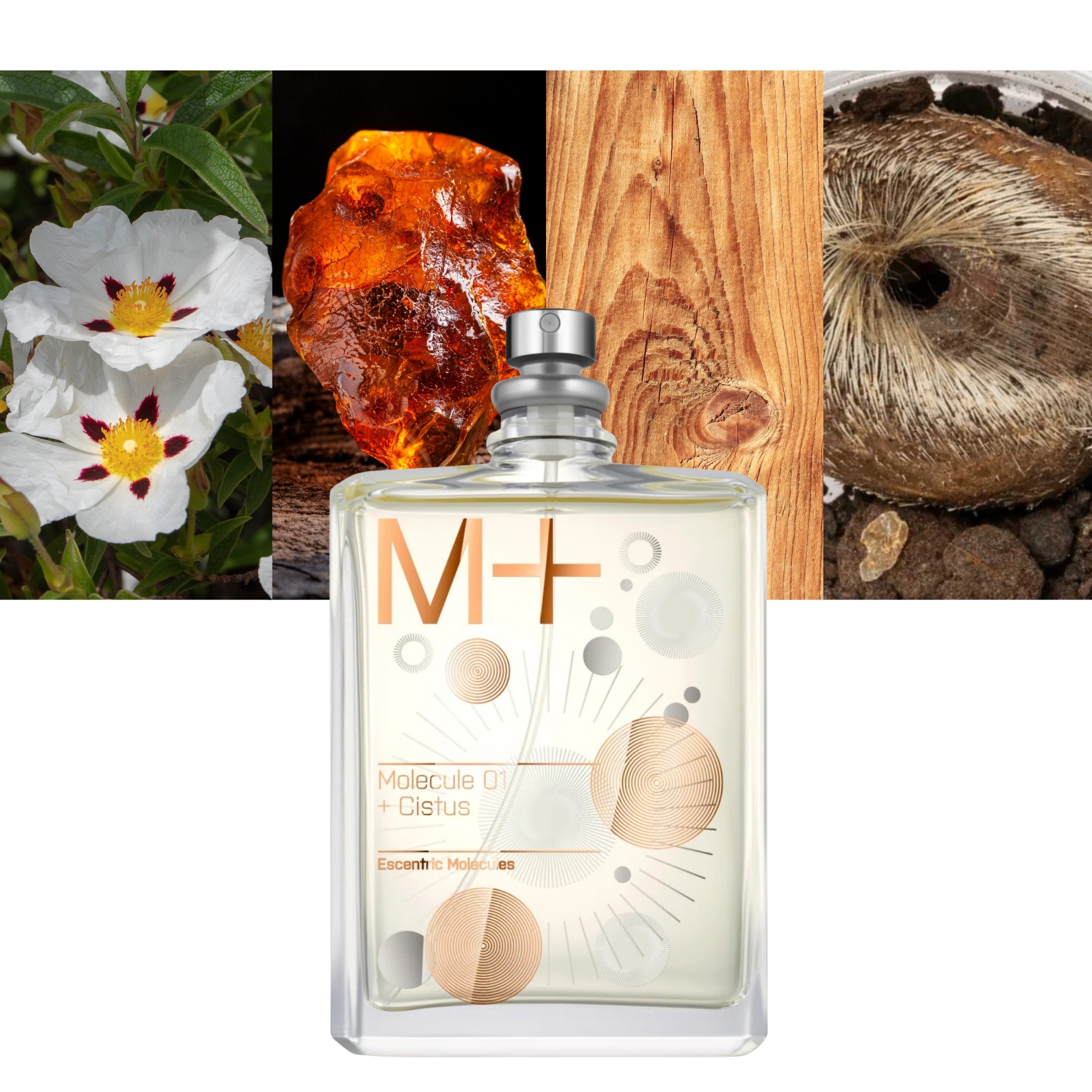 Escentric Molecules Molecule 01 + Cistus