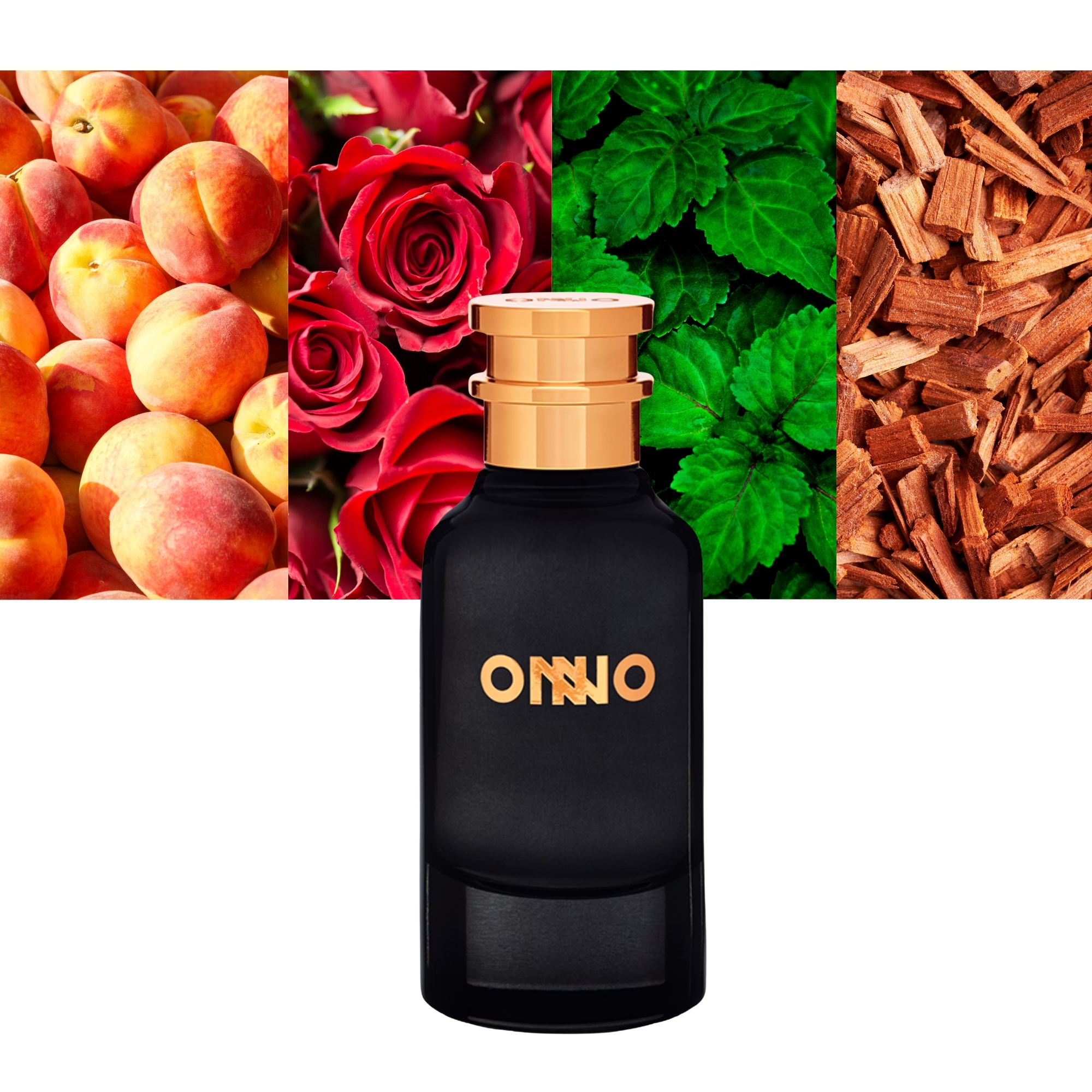 ONNO Passion