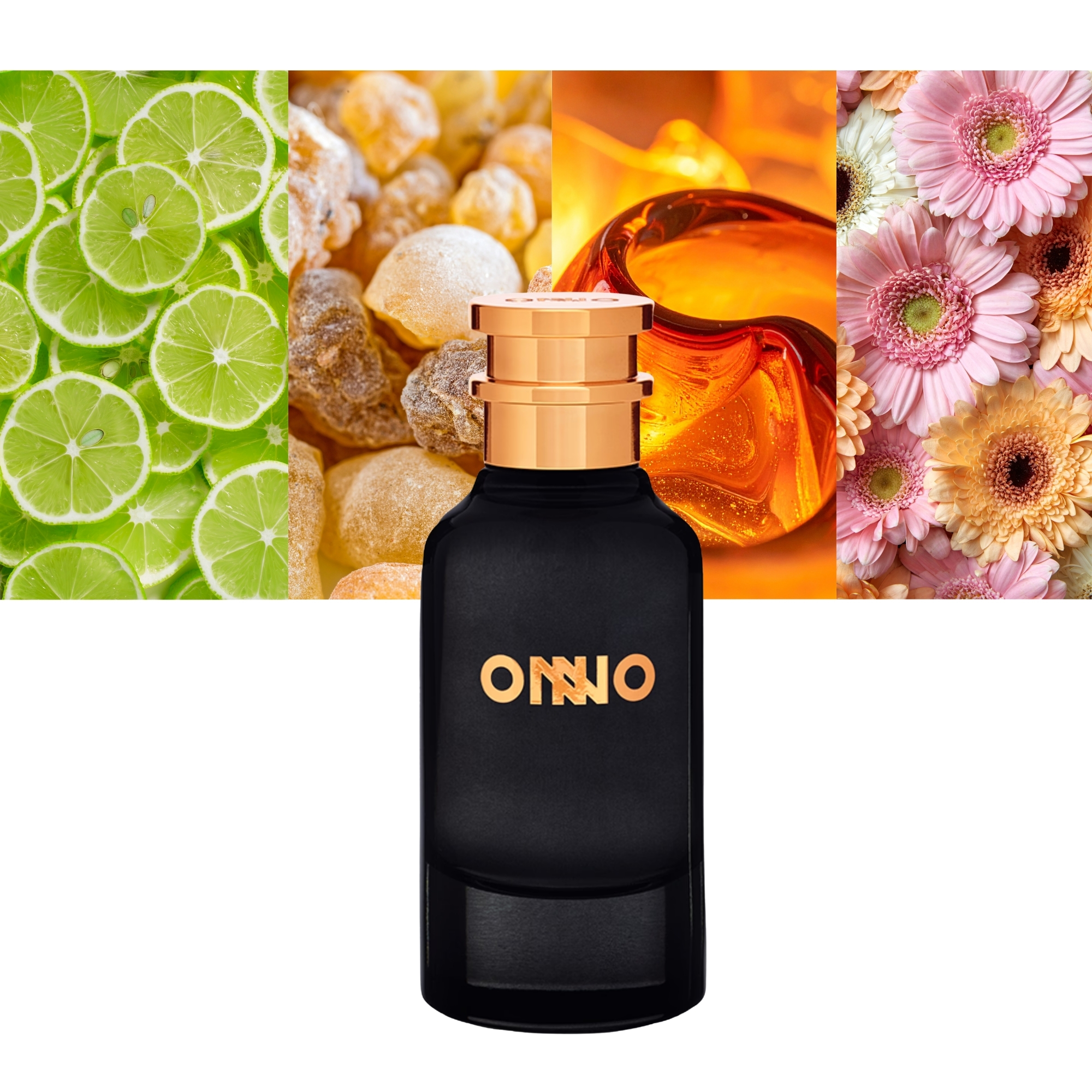 ONNO X 55