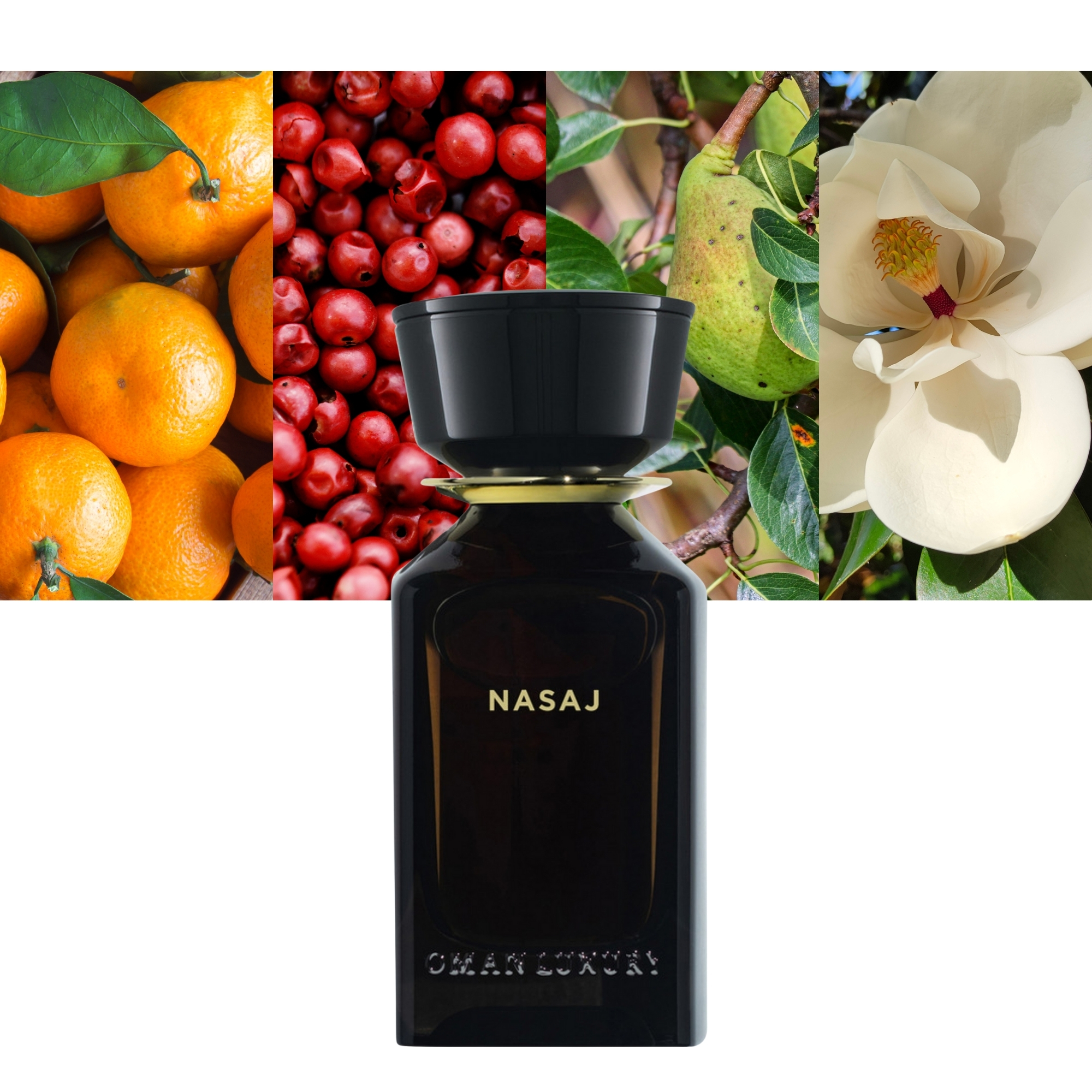 Omanluxury Nasaj