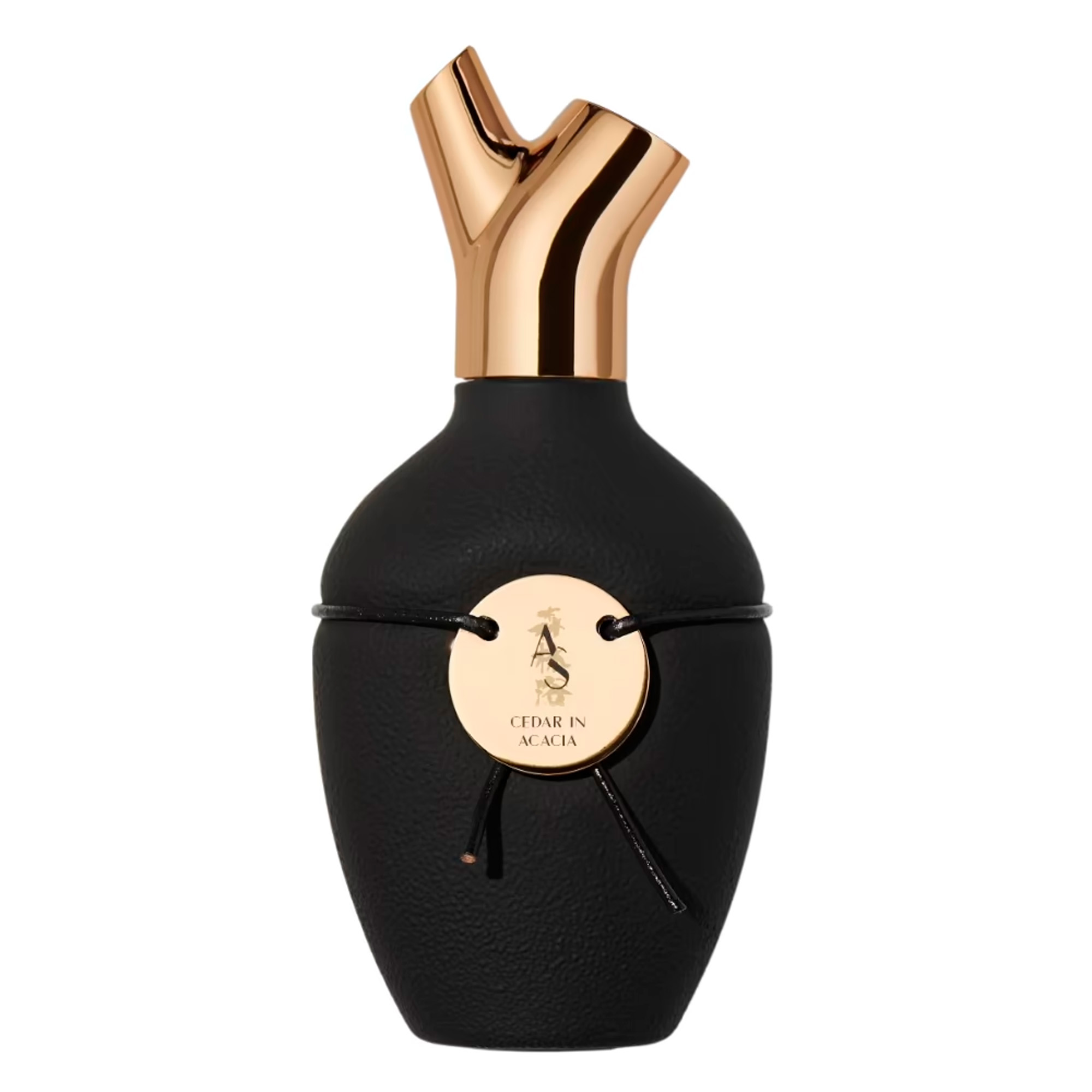 Cedar in Acacia