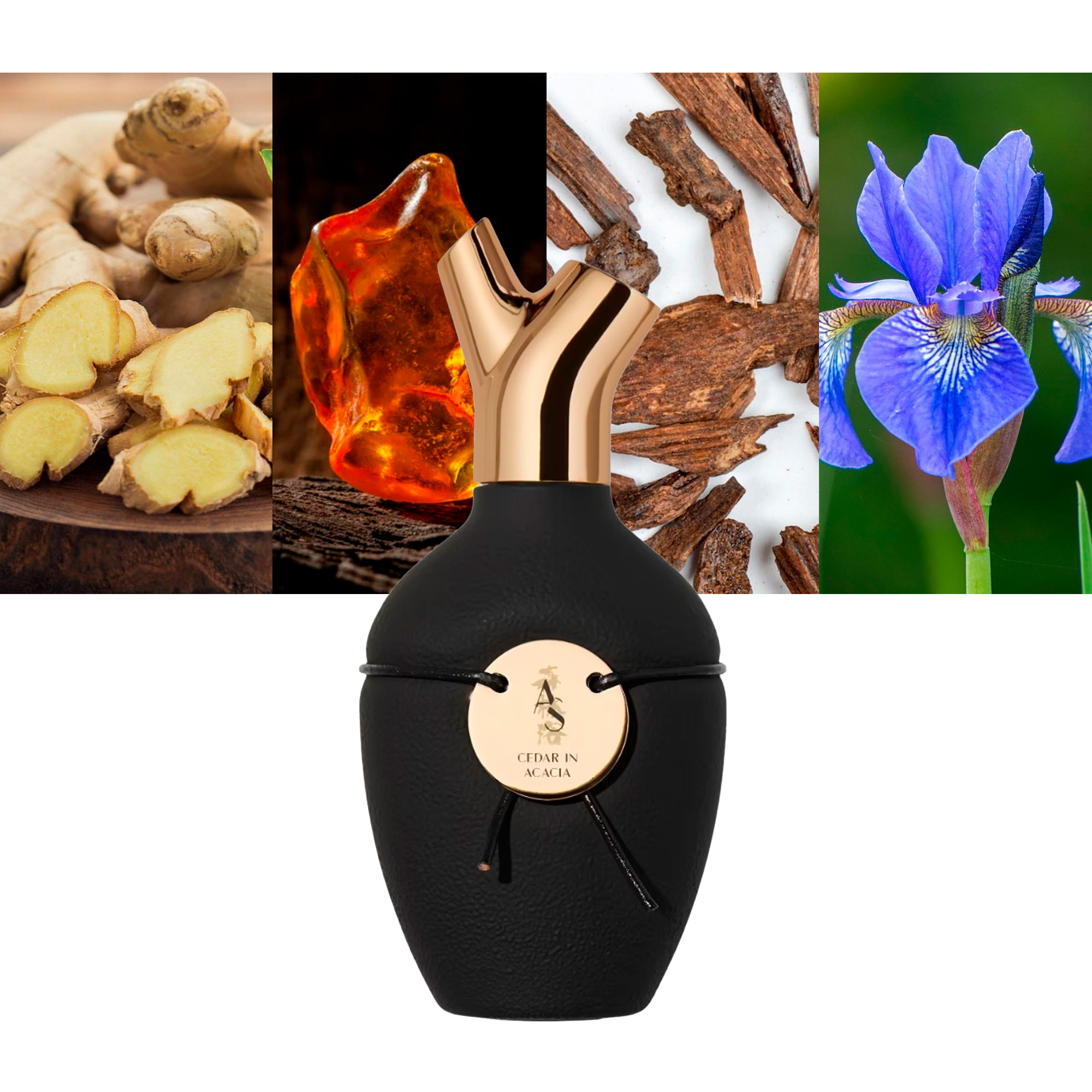Scents of Wood Cedar in Acacia