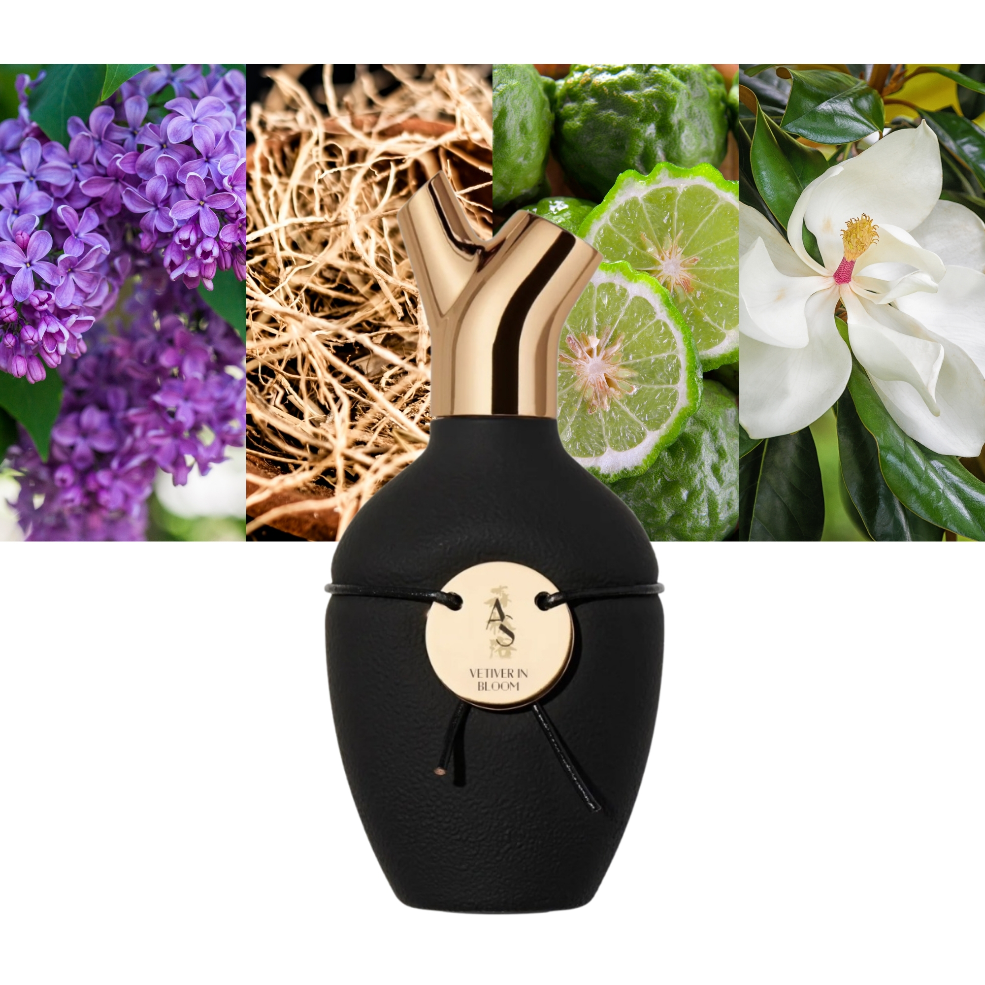 Scents of Wood Vetiver in Bloom