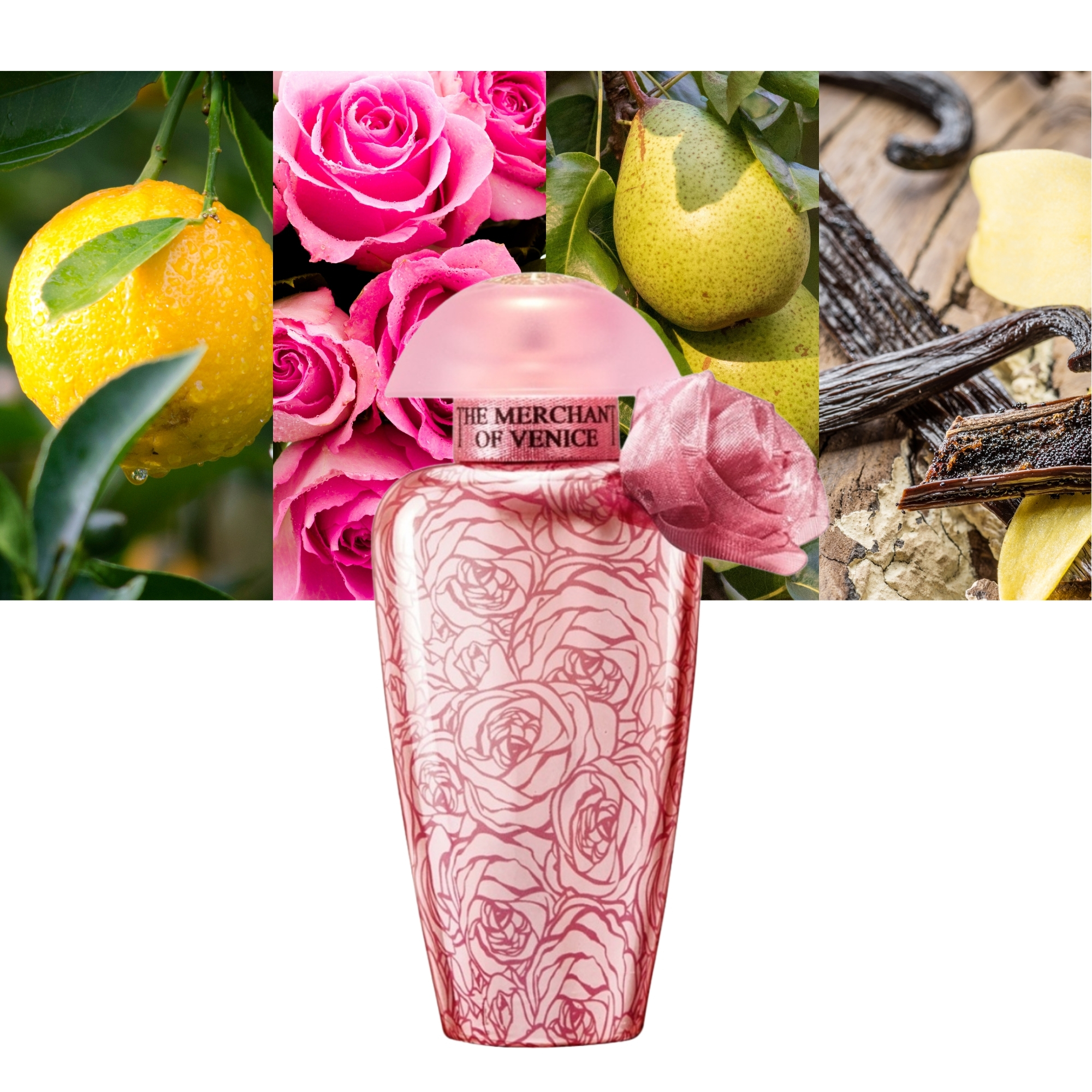The Merchant of Venice Rosa Moceniga Elixir