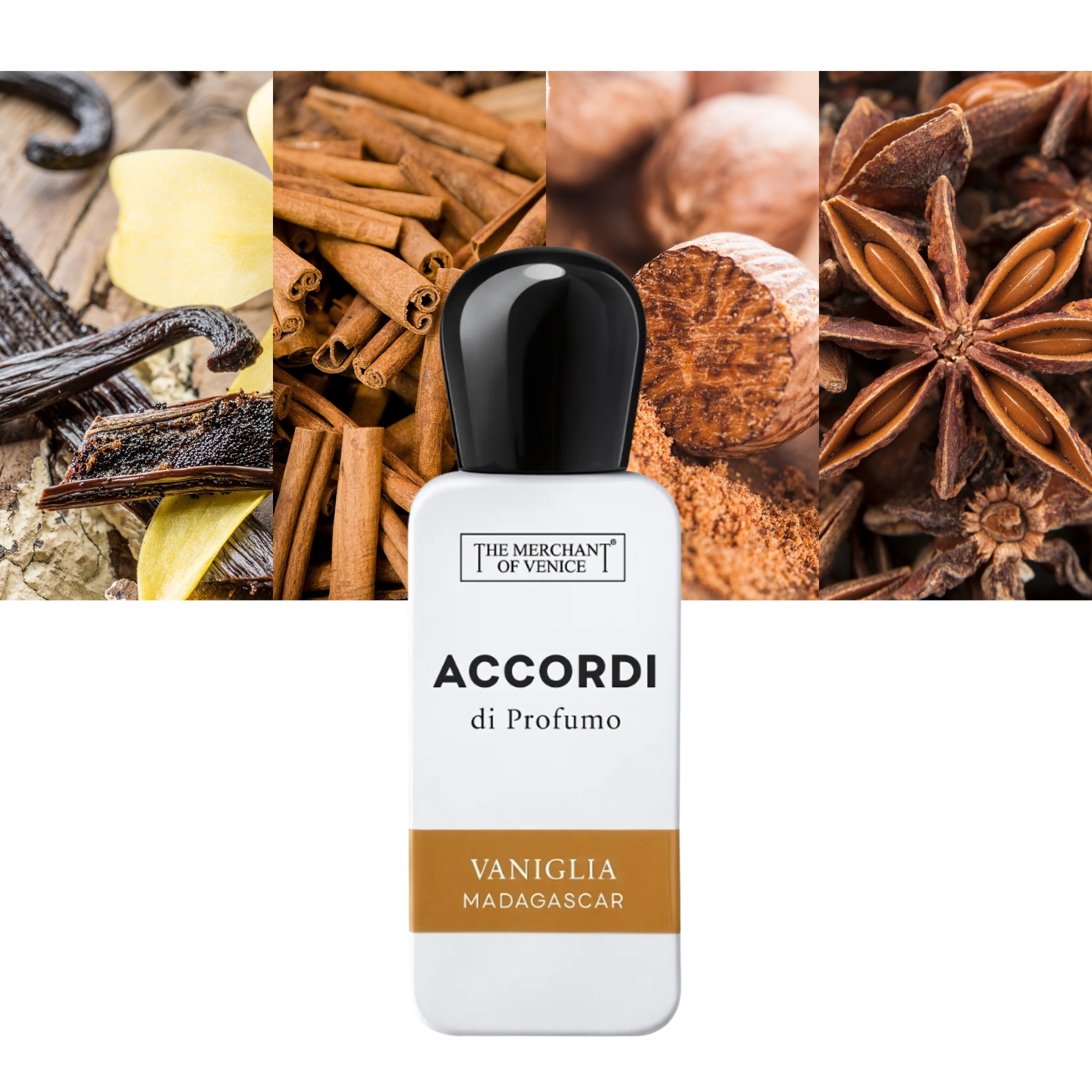 Accordi di Profumo Vaniglia Madagascar