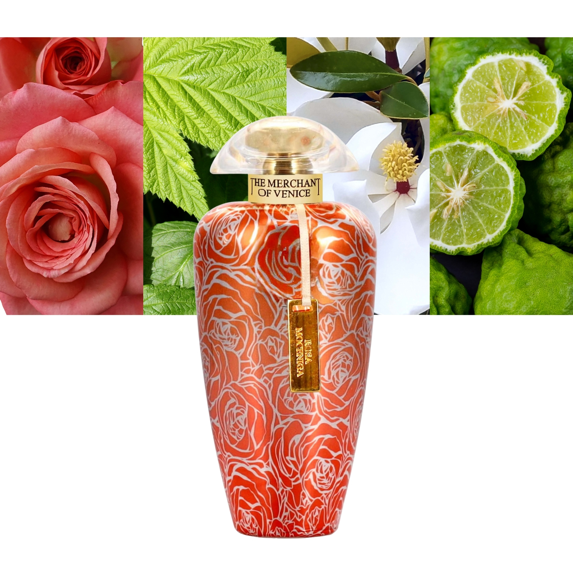 The Merchant of Venice Rosa Moceniga