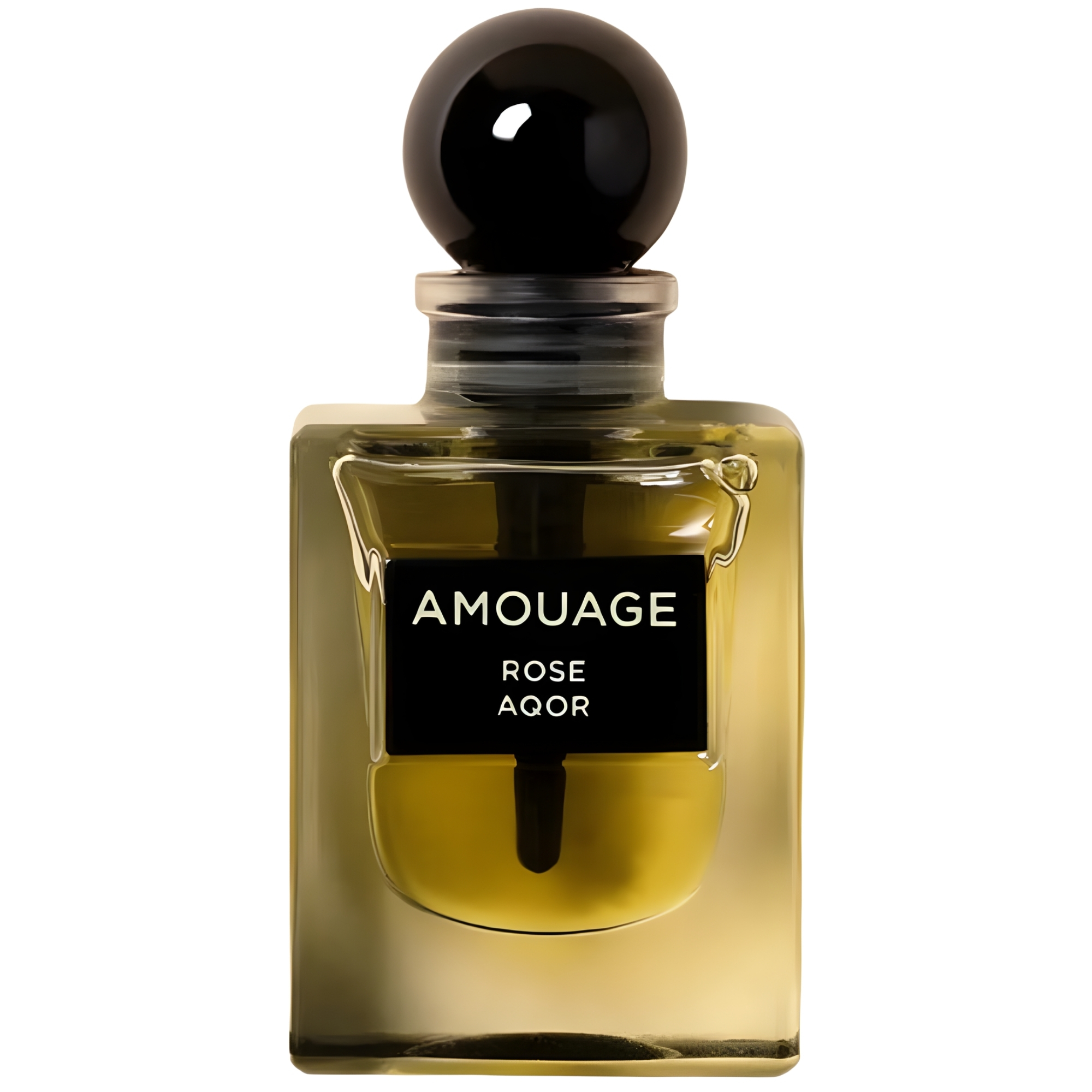 Rose Aqor