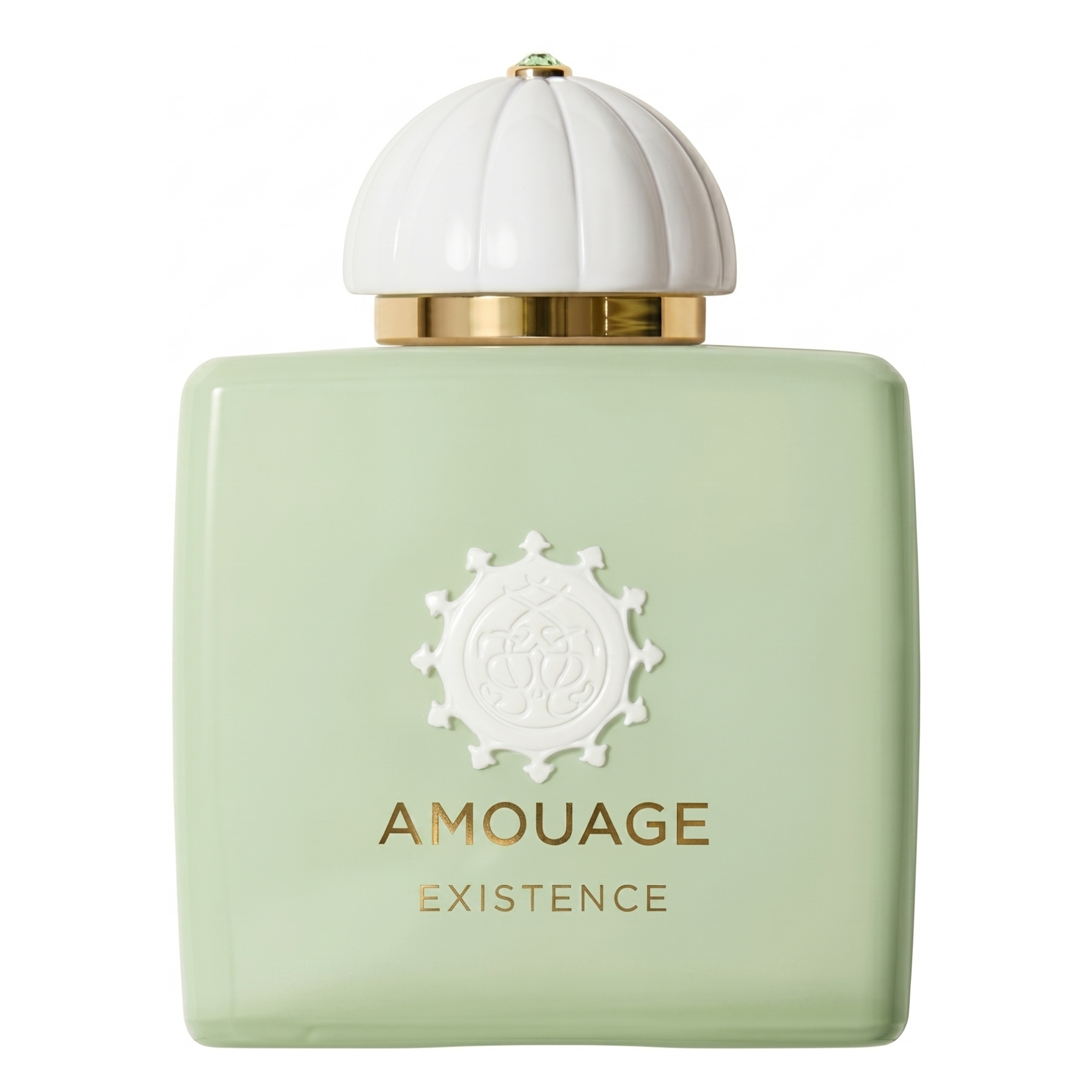 Amouage Existence Eau De Parfum Unisex 34 Oz 395$