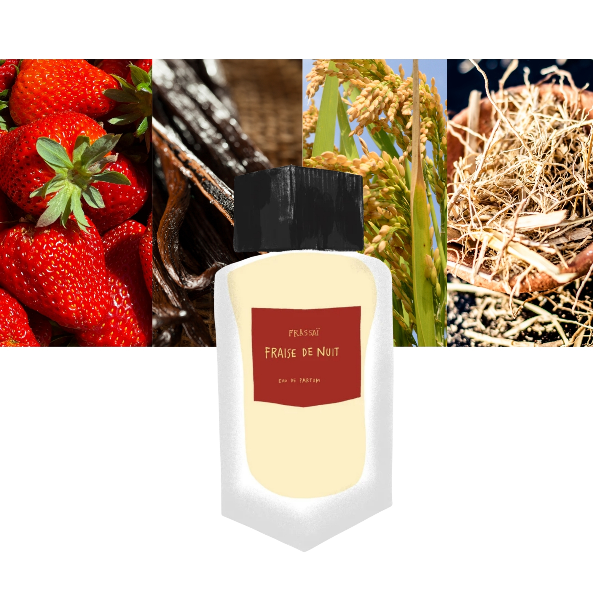 Frassai Fraise de Nuit
