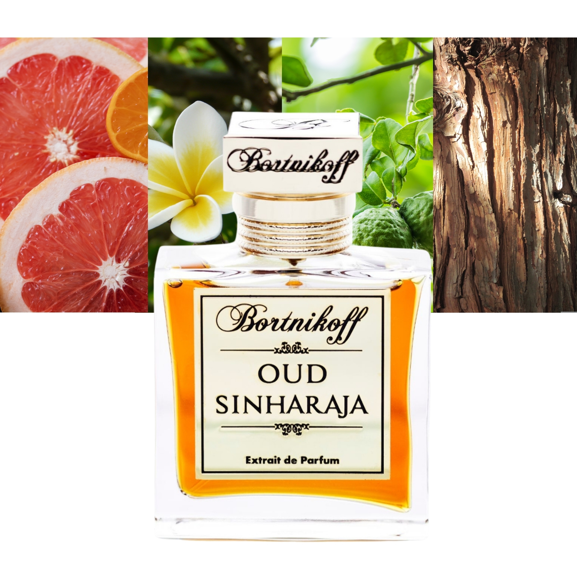 Bortnikoff Oud Sinharaja
