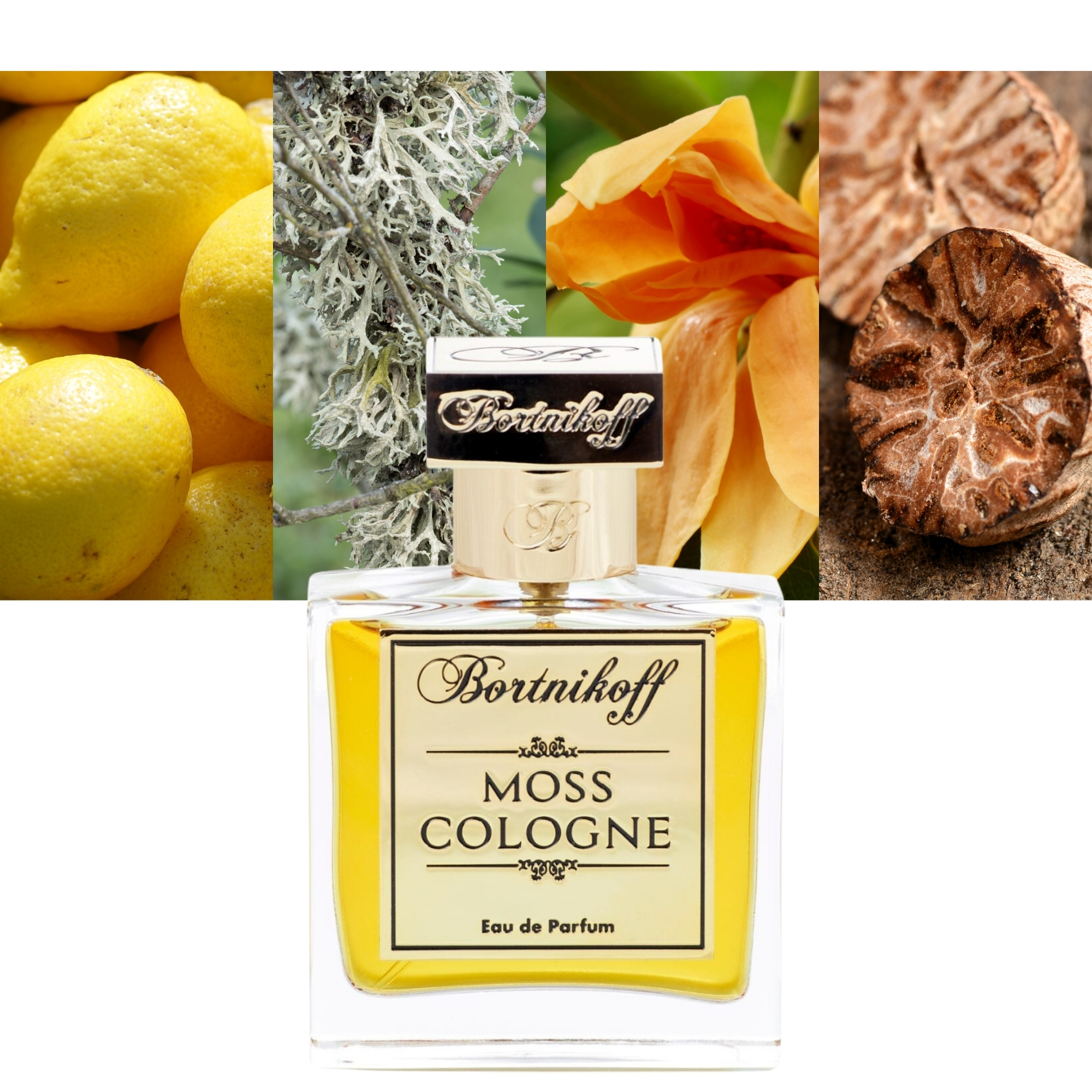 Bortnikoff Moss Cologne