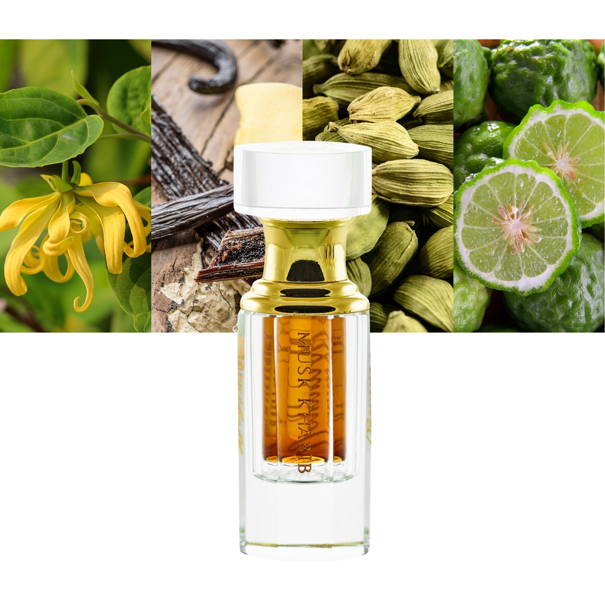 Bortnikoff Attar Musk Khabib