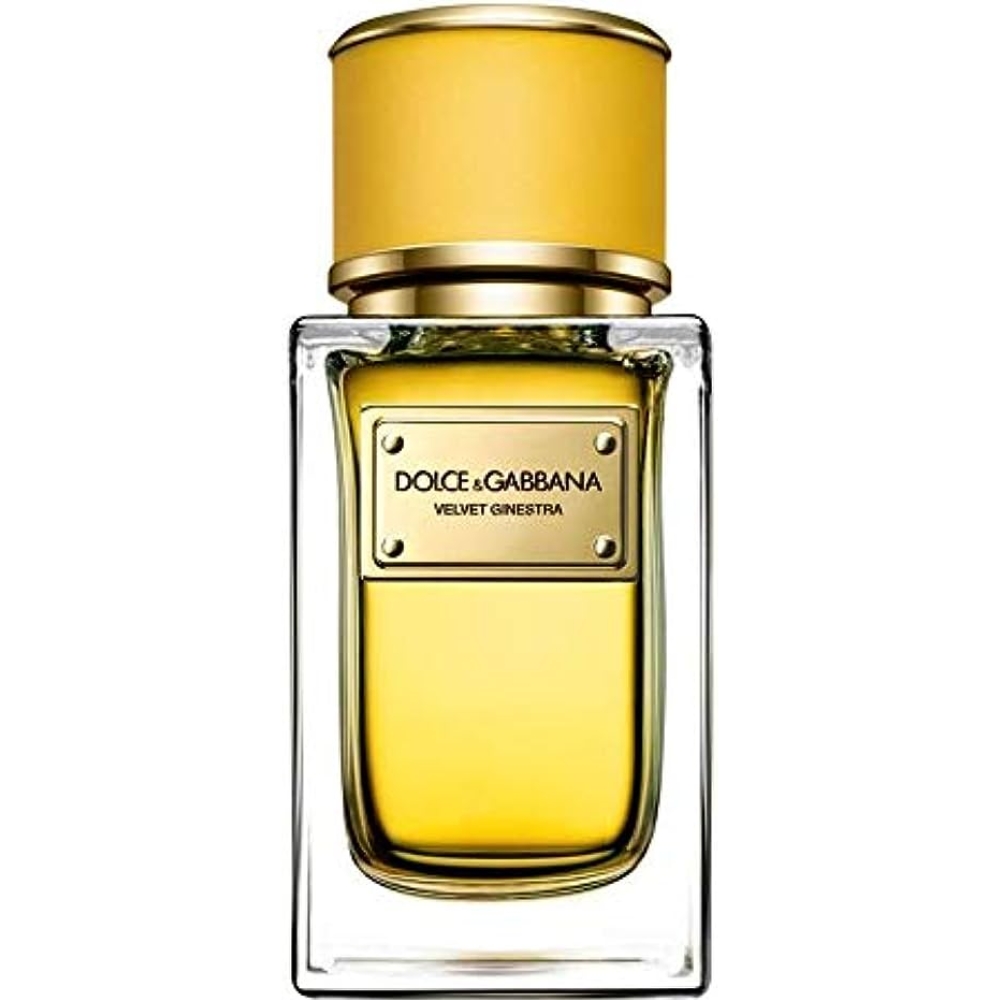 Dolce & Gabbana Velvet Ginestra Perfume
