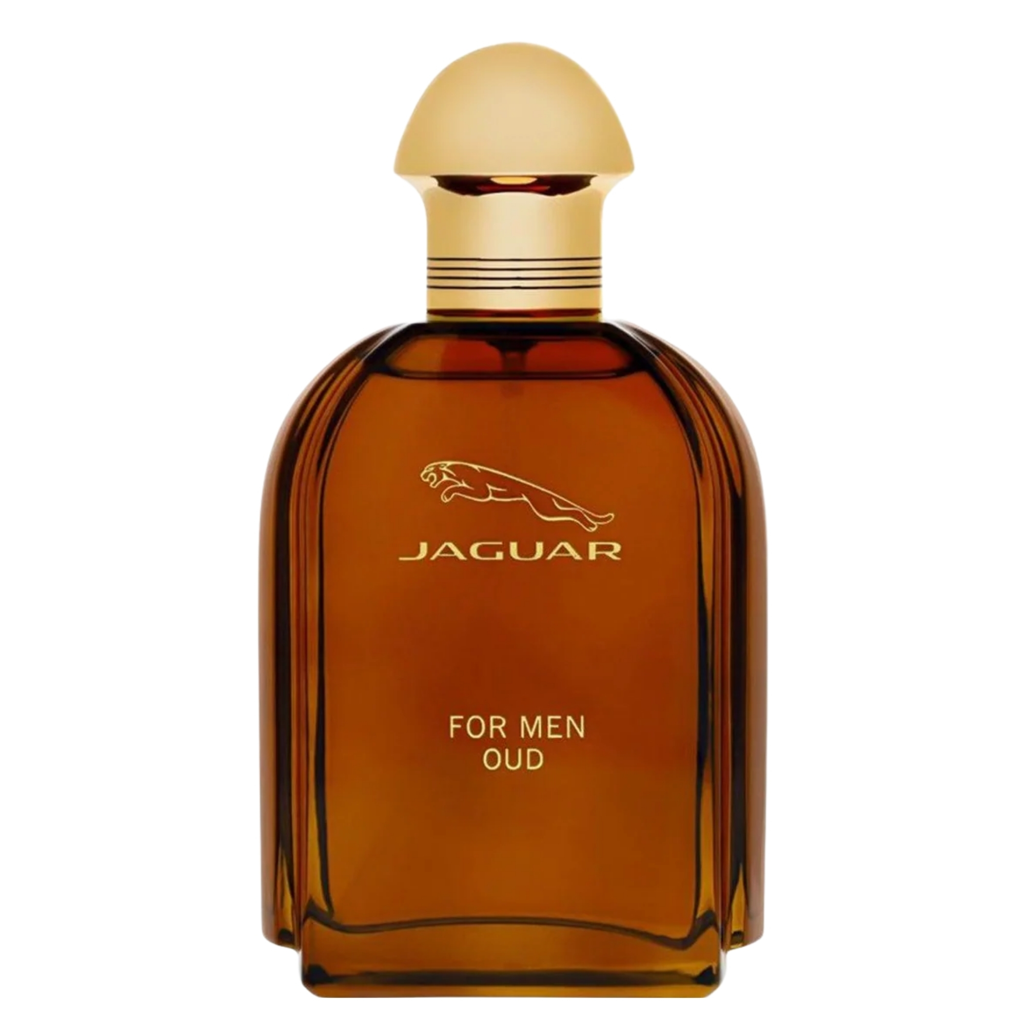Jaguar For Men Oud Eau De Parfum Men 34 Oz 24$
