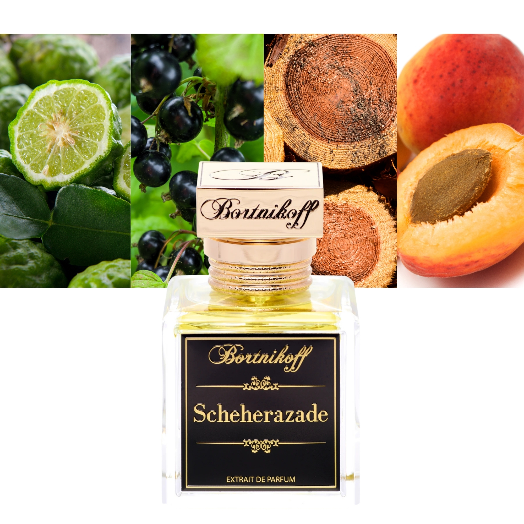 Bortnikoff Scheherazade