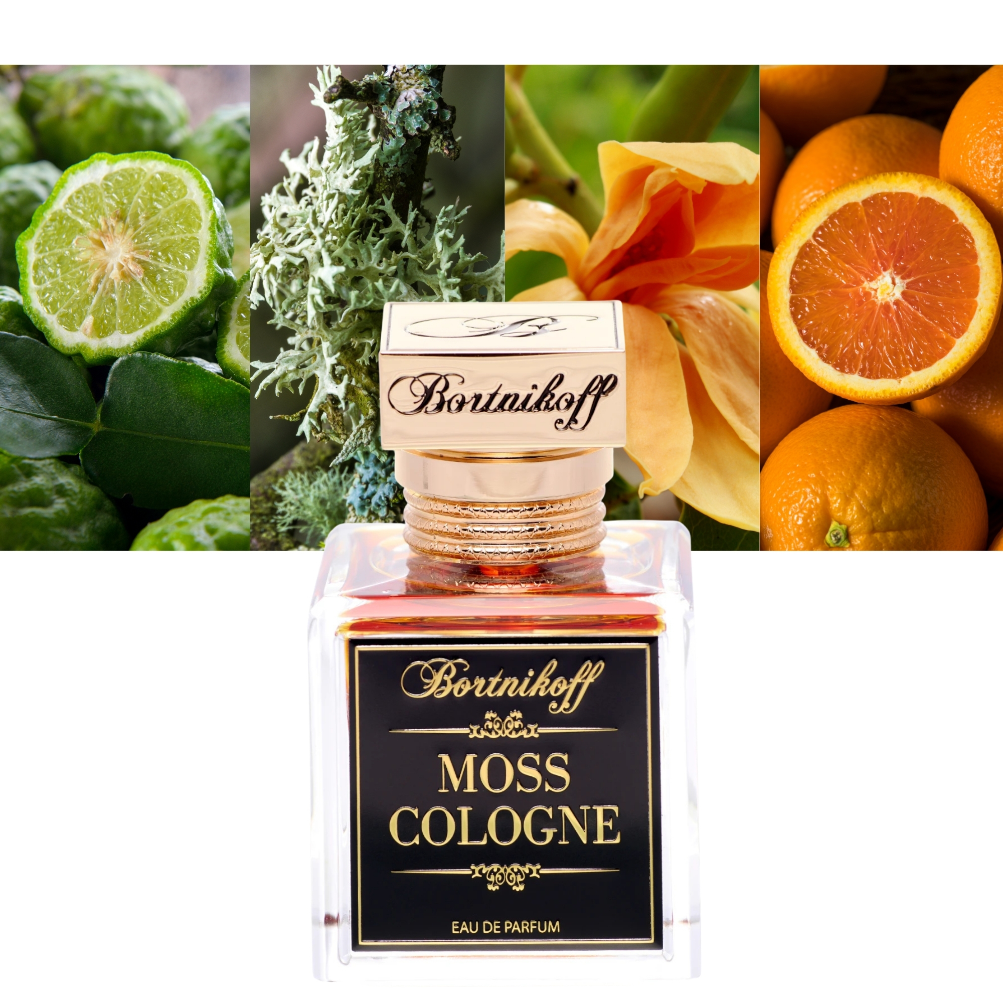 Bortnikoff Moss Cologne