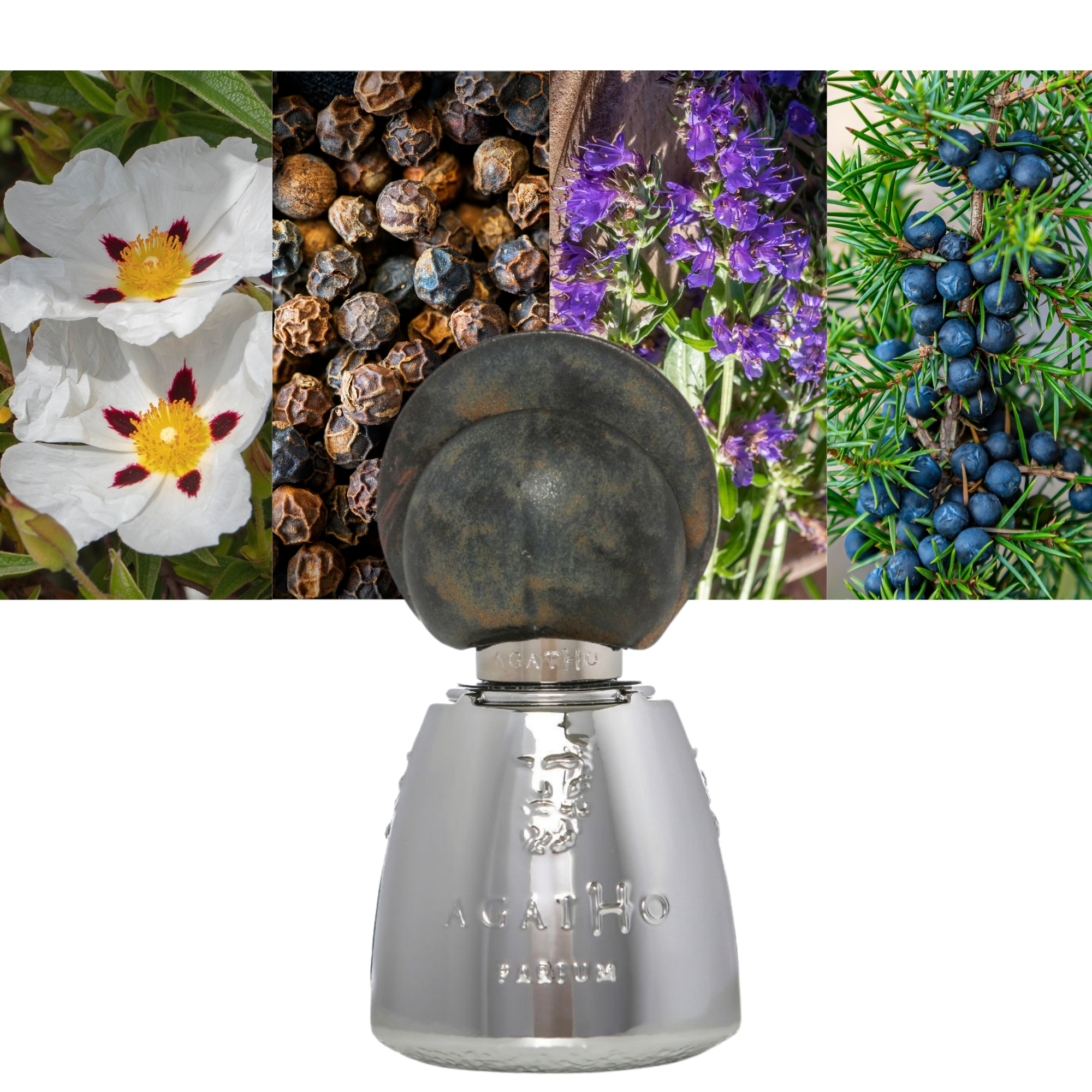 Agatho Parfum Giardinodiercole