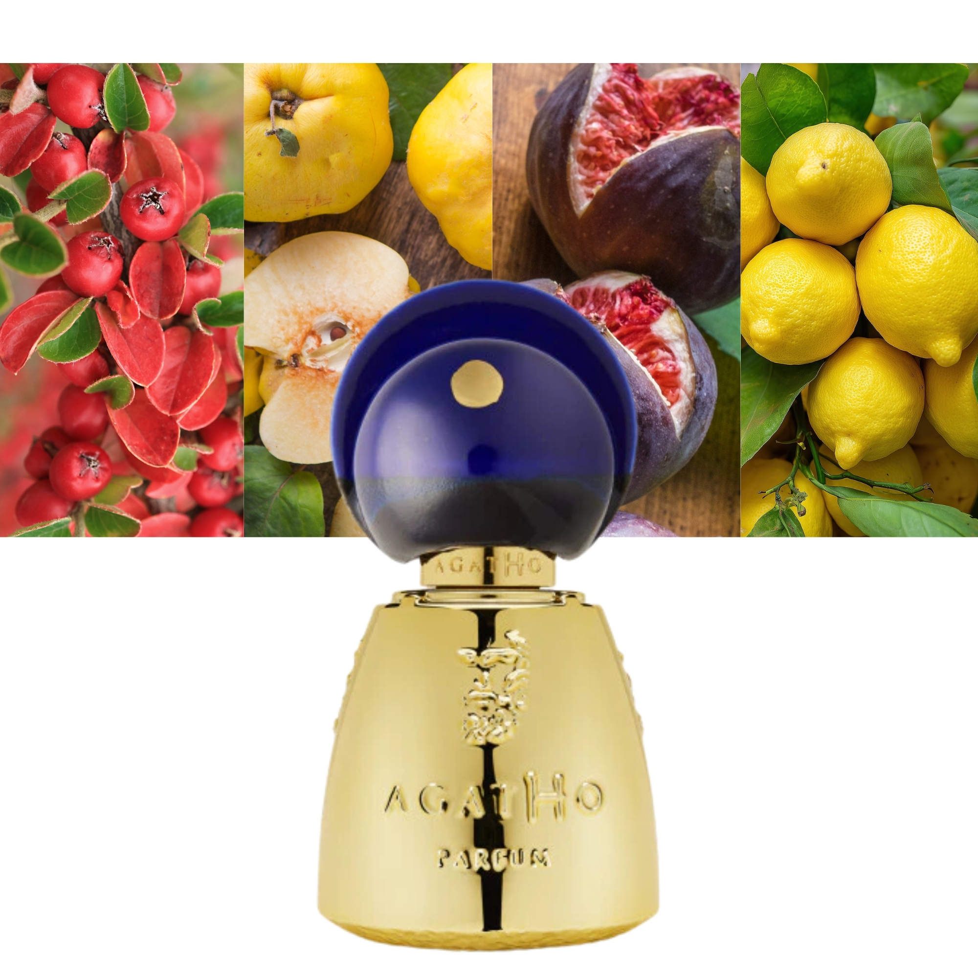 Agatho Parfum Vettii