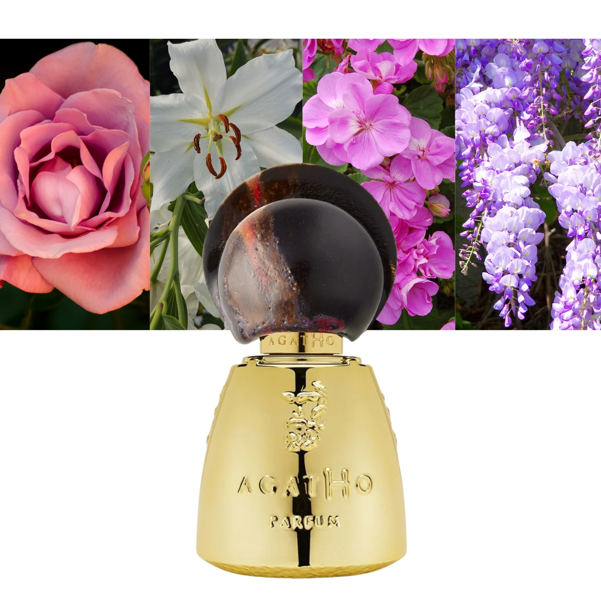 Agatho Parfum Adone