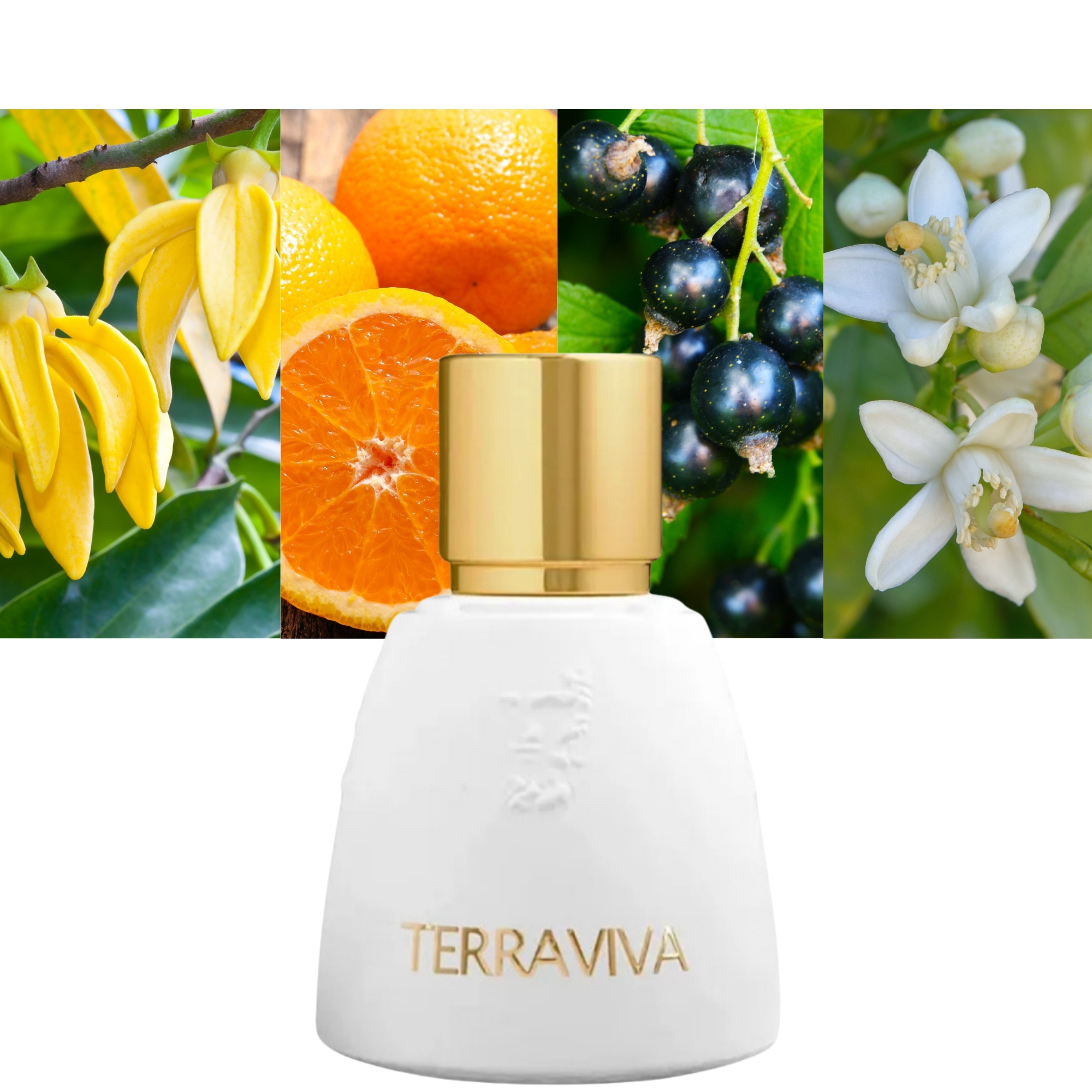 Agatho Parfum Terraviva