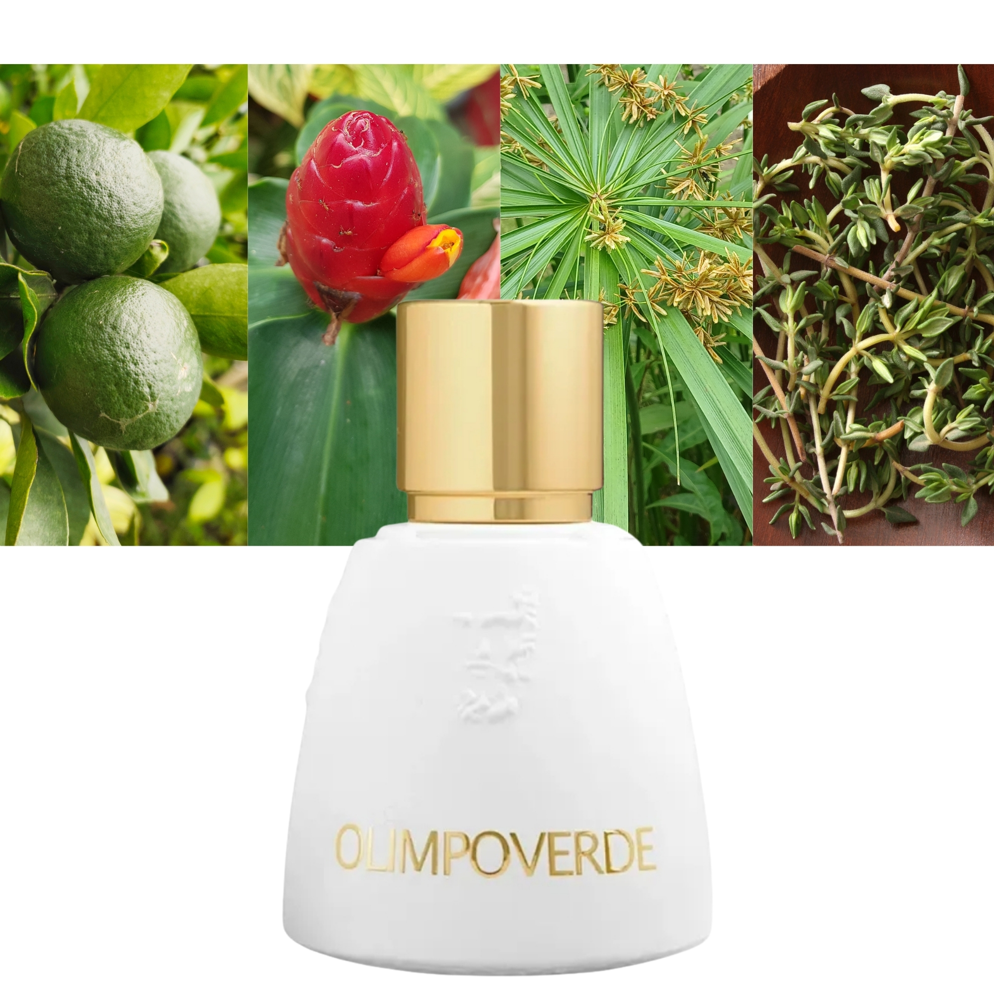 Agatho Parfum Olimpoverde