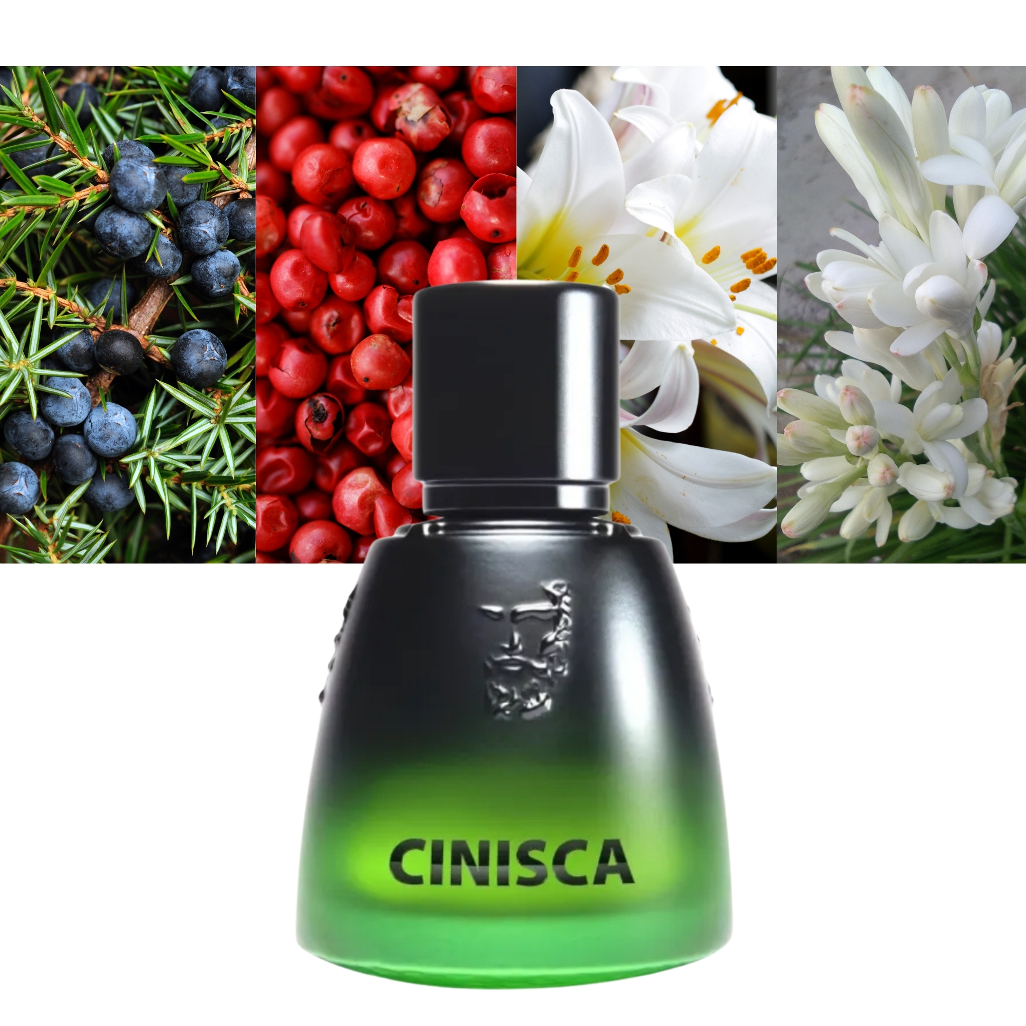 Agatho Parfum Cinisca