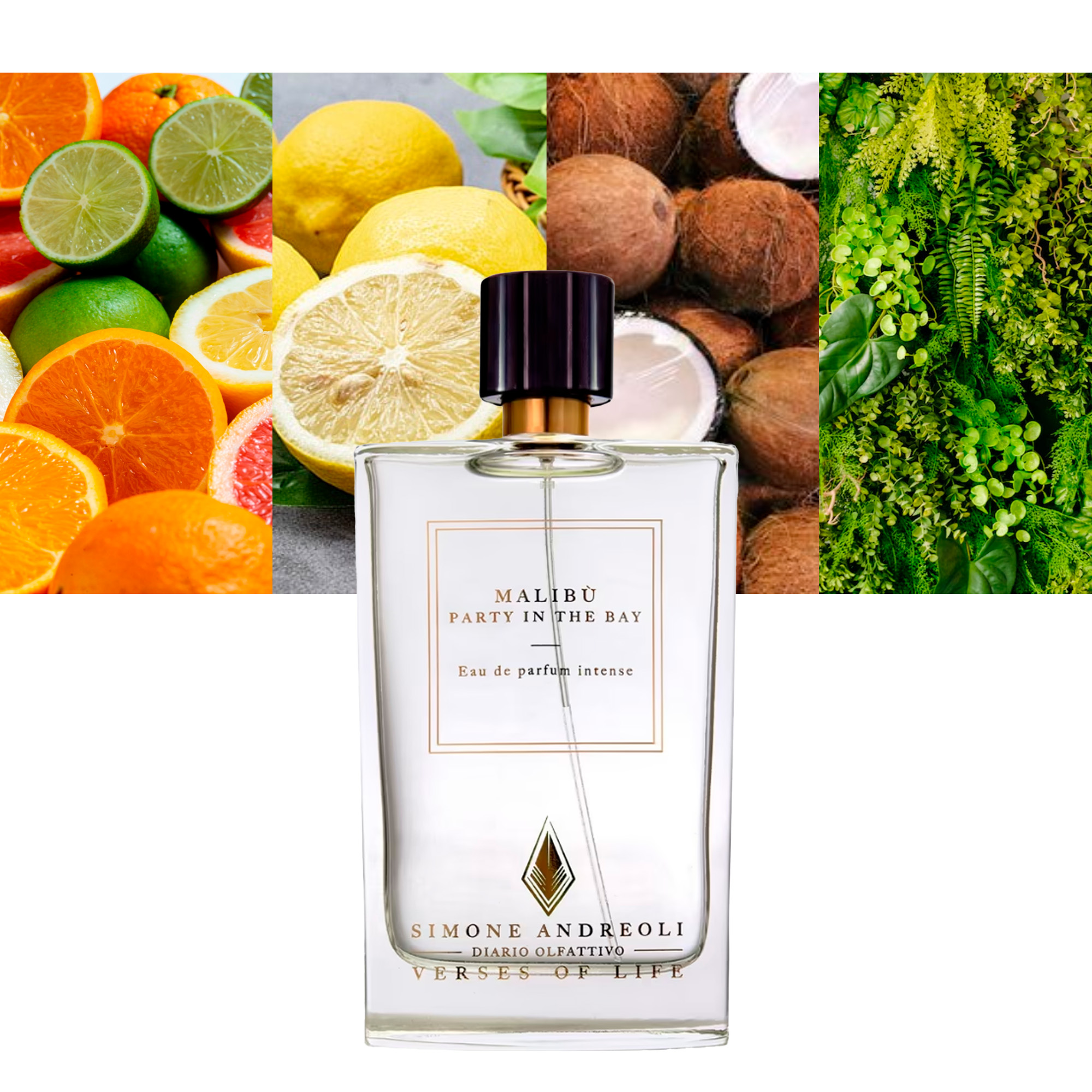 Simone Andreoli Malibu - Party in the Bay