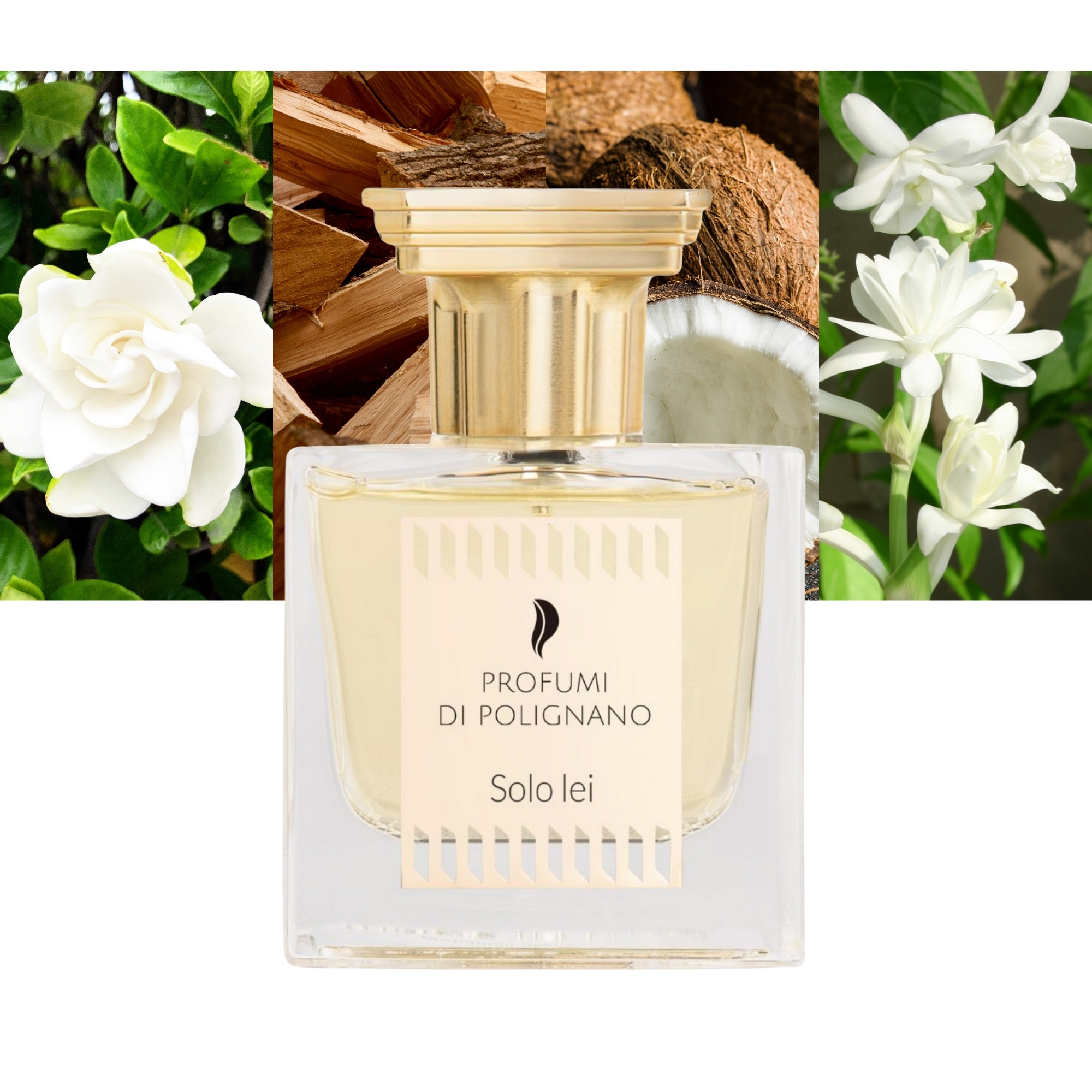 Profumi Di Polignano Solo Lei