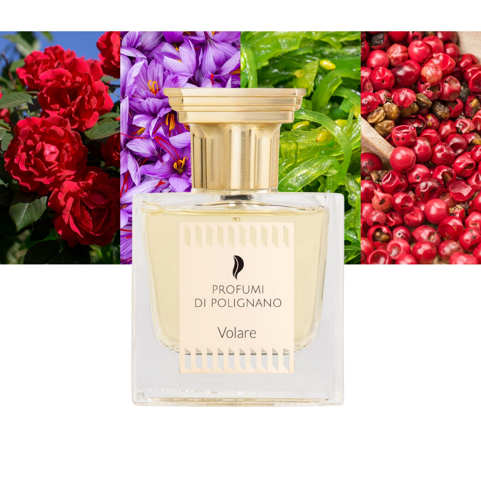Profumi Di Polignano Volare