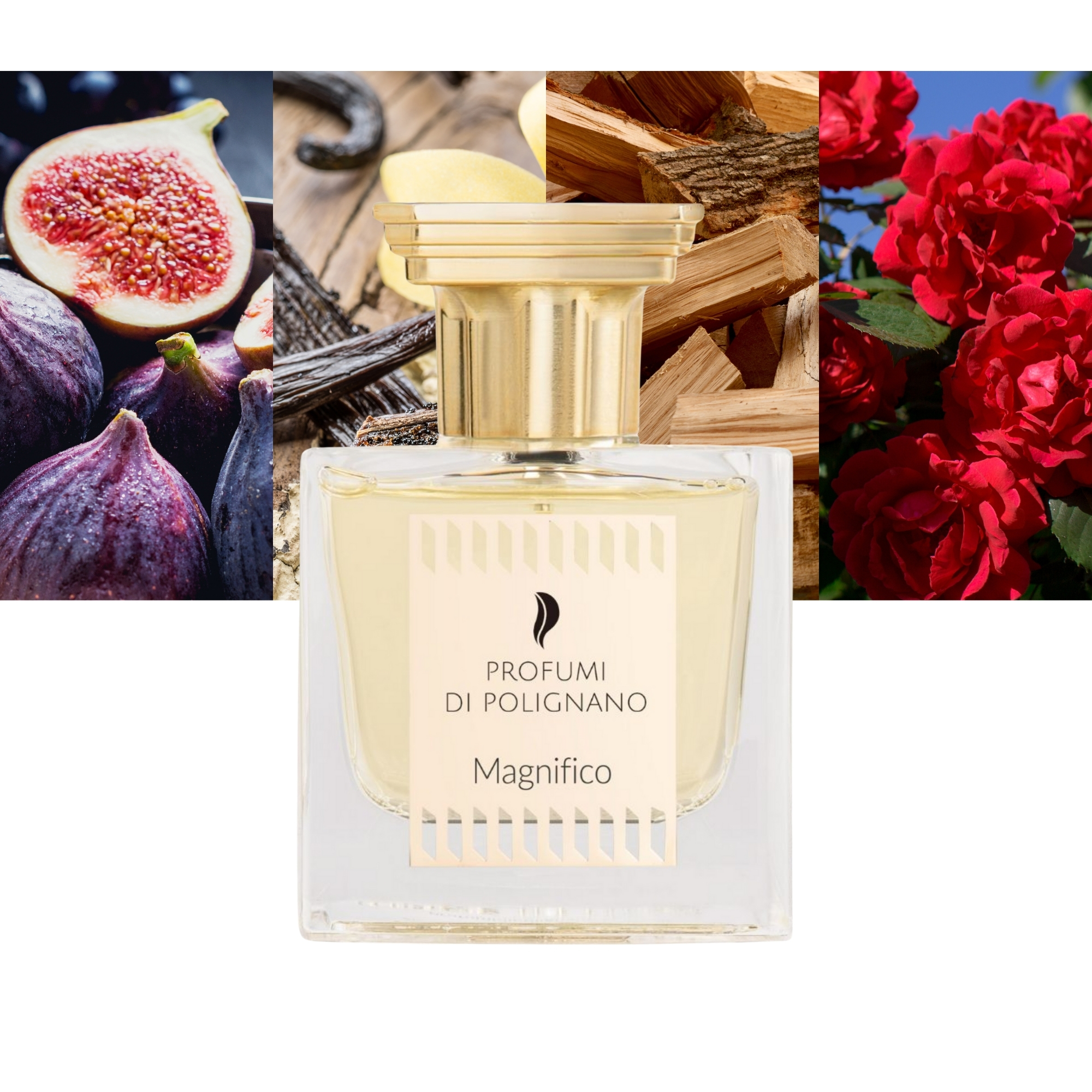 Profumi Di Polignano Magnifico