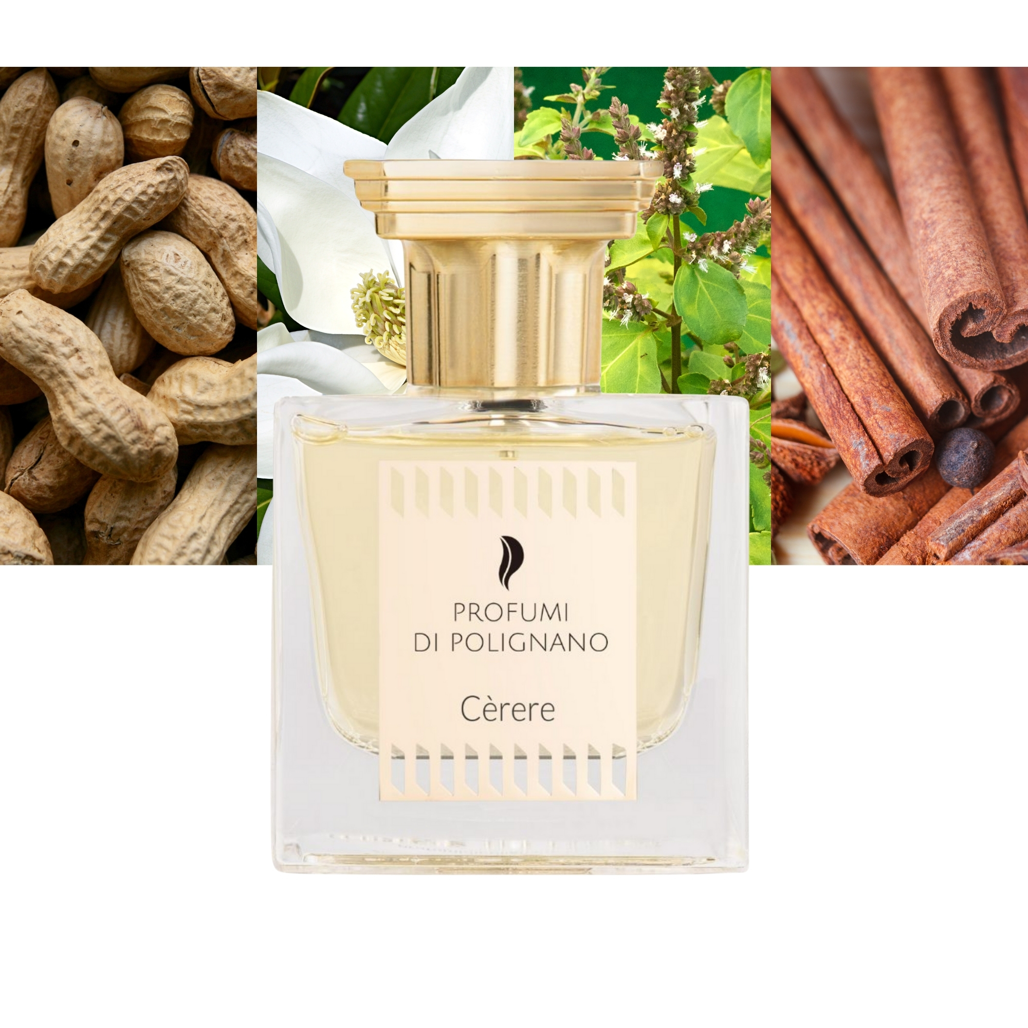 Profumi Di Polignano Cerere