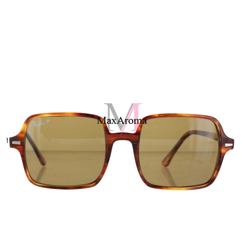 Landgoed Haas spleet Ray Ban RB1973 95415Q Sunglasses |MaxAroma.com