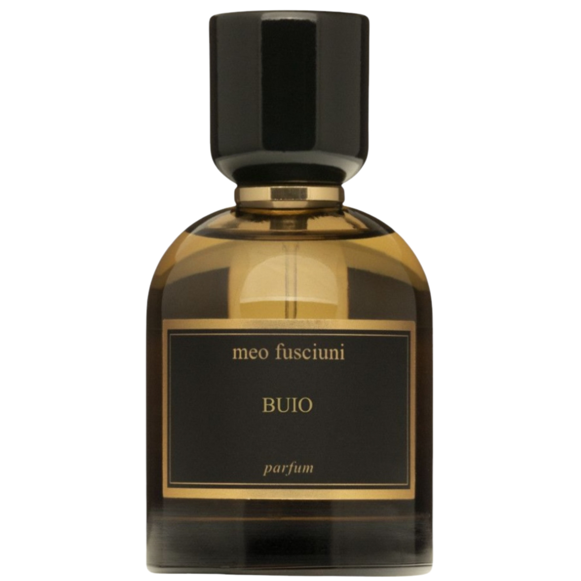 Meo Fusciuni Buio Parfum Unisex 3.4 Oz