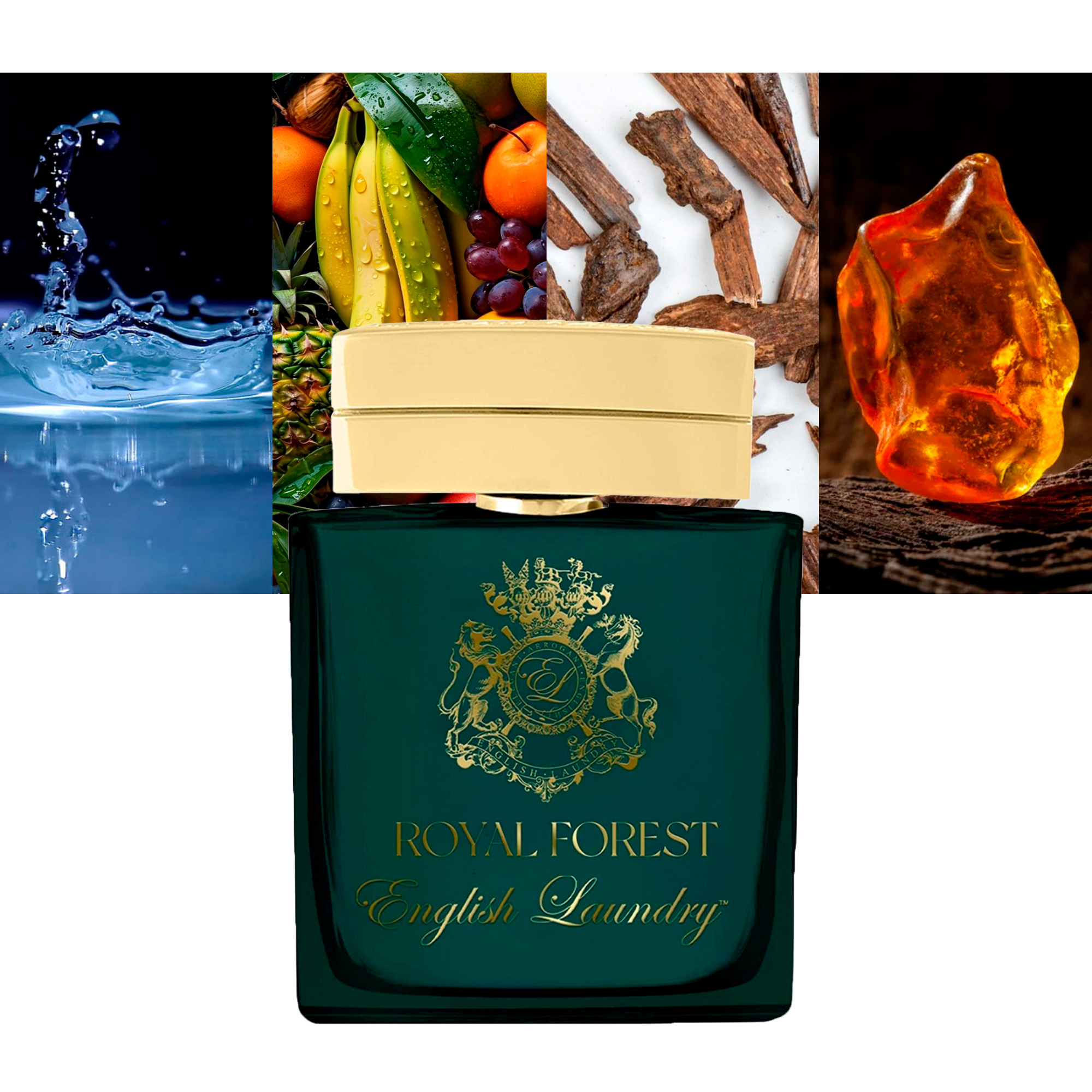 Royal Forest
