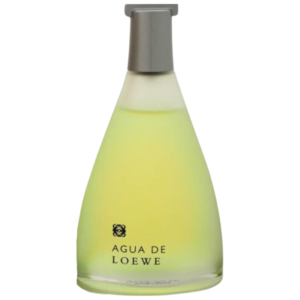 Ladies Agua De Loewe