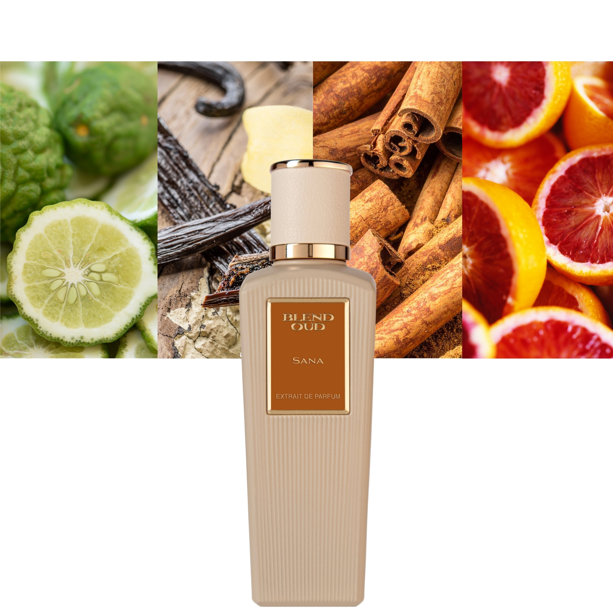 Blend Oud Sana